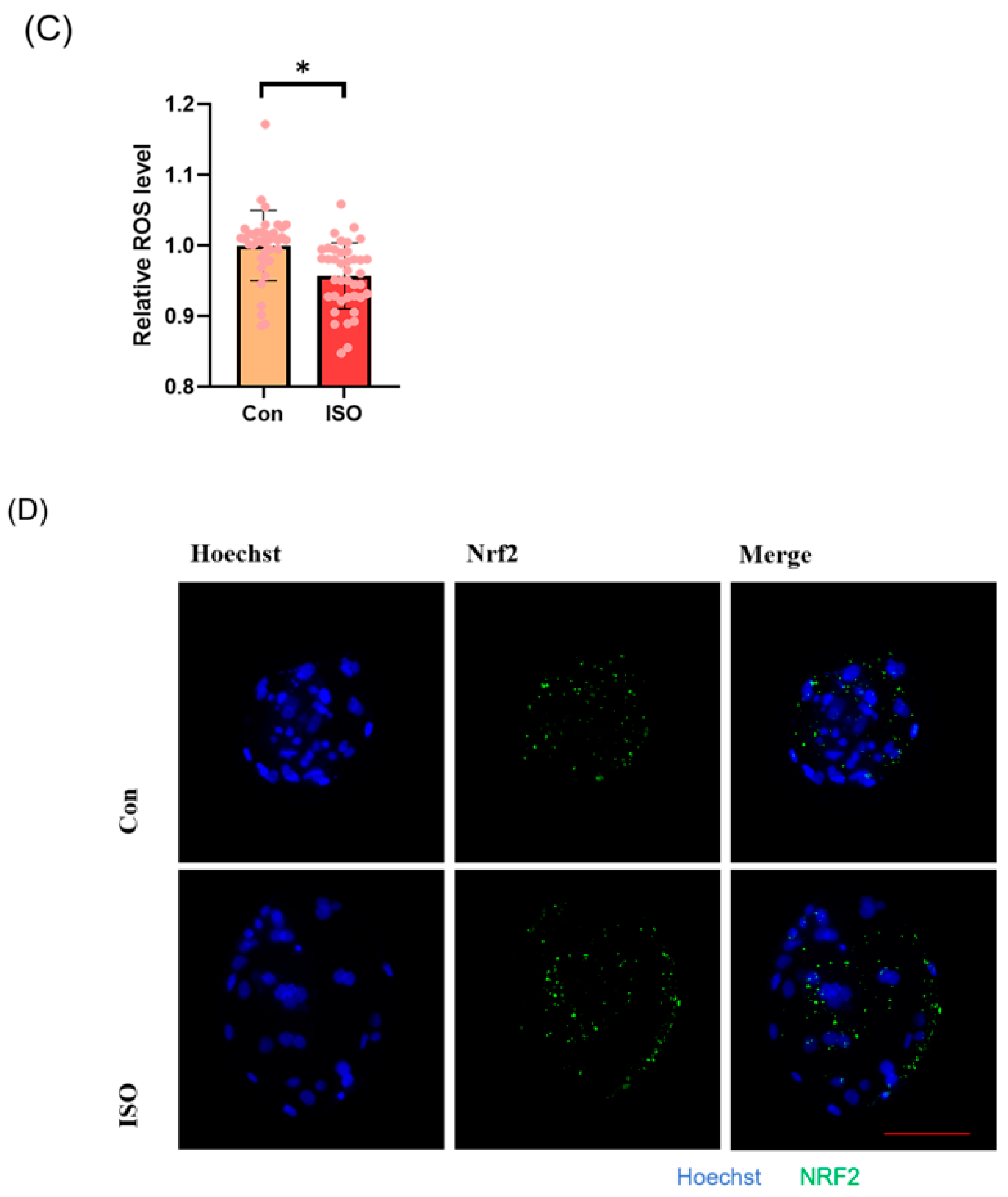 Animals 14 02806 g002b