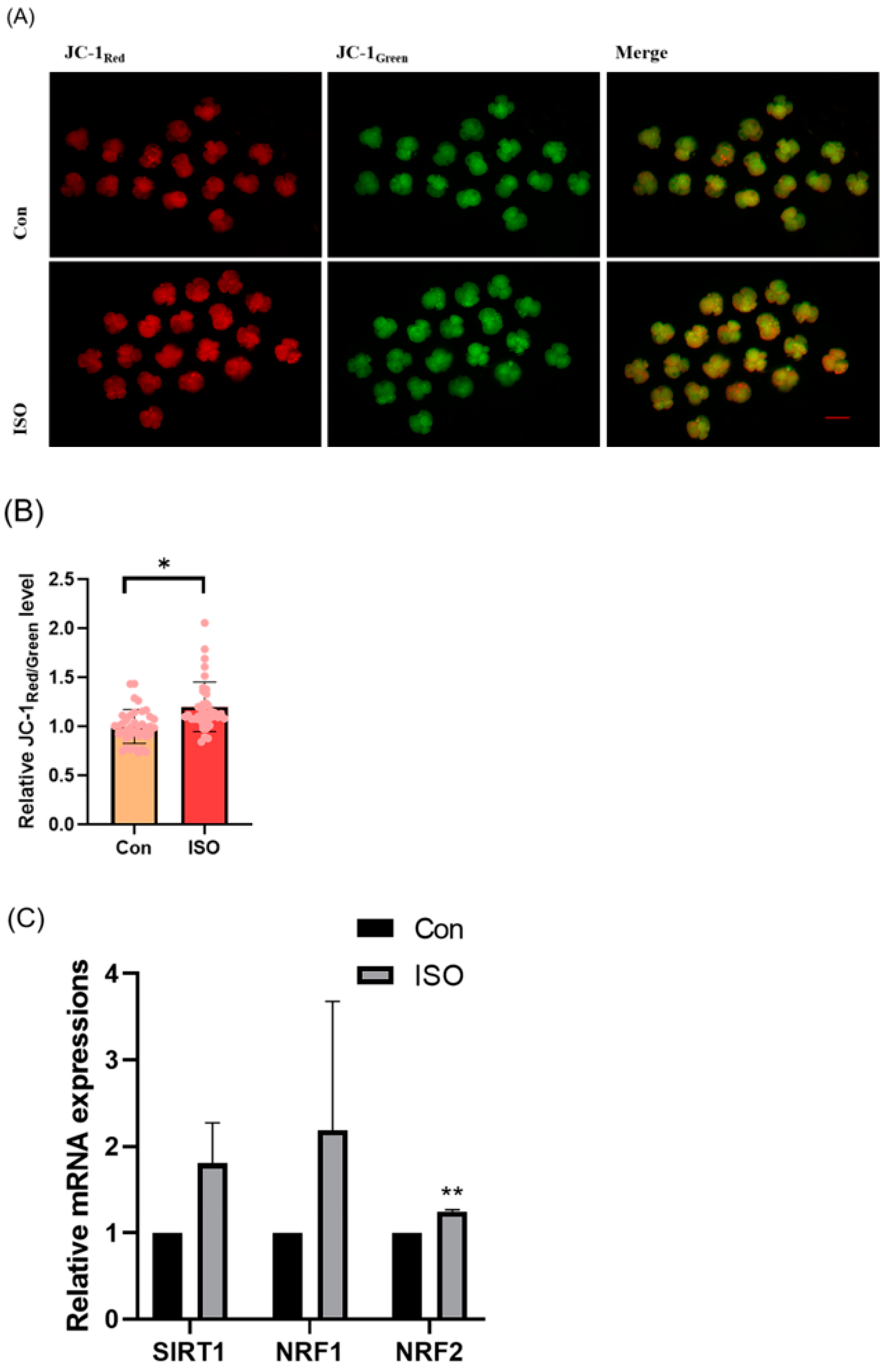 Animals 14 02806 g003