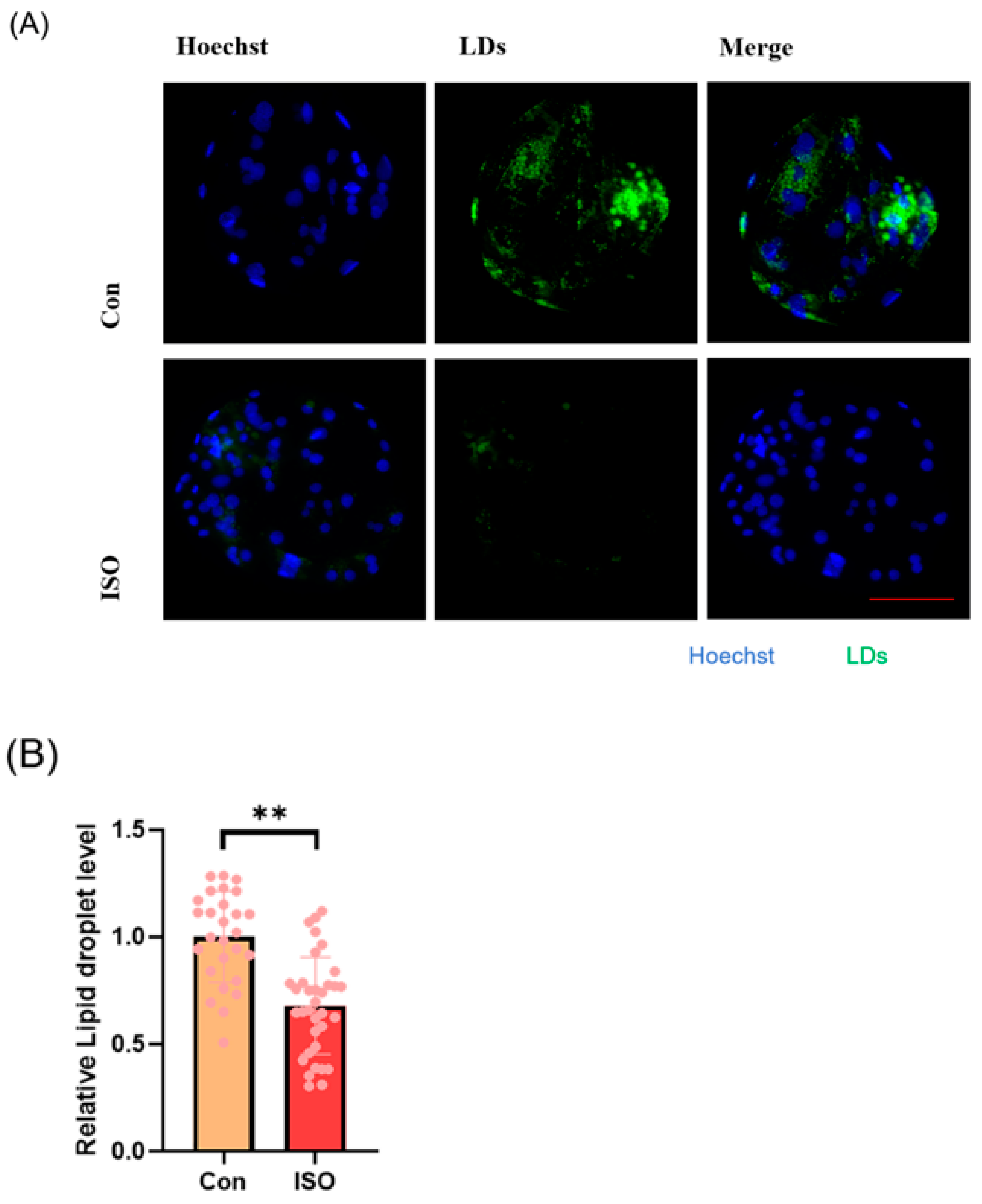 Animals 14 02806 g004a