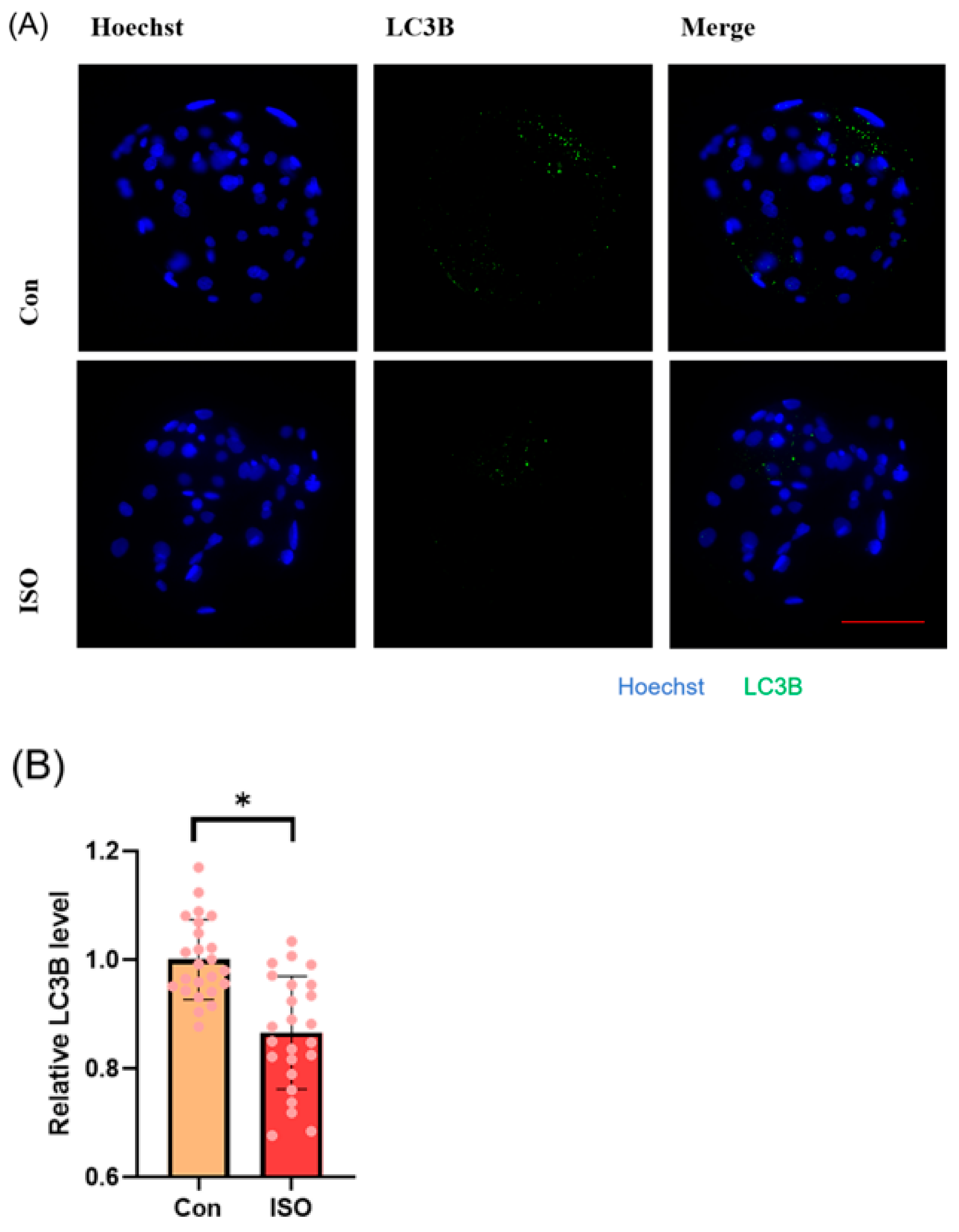 Animals 14 02806 g006a