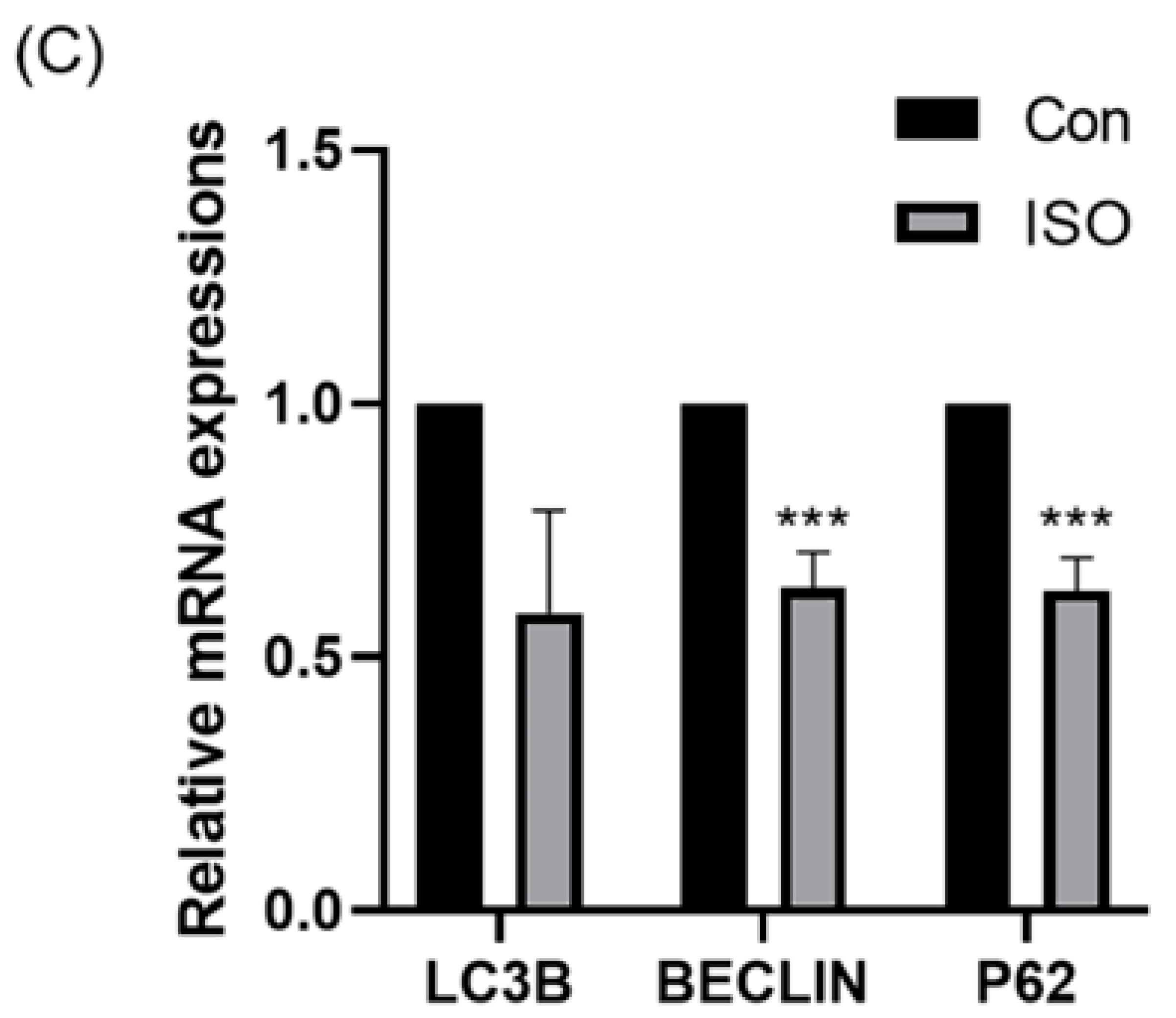 Animals 14 02806 g006b