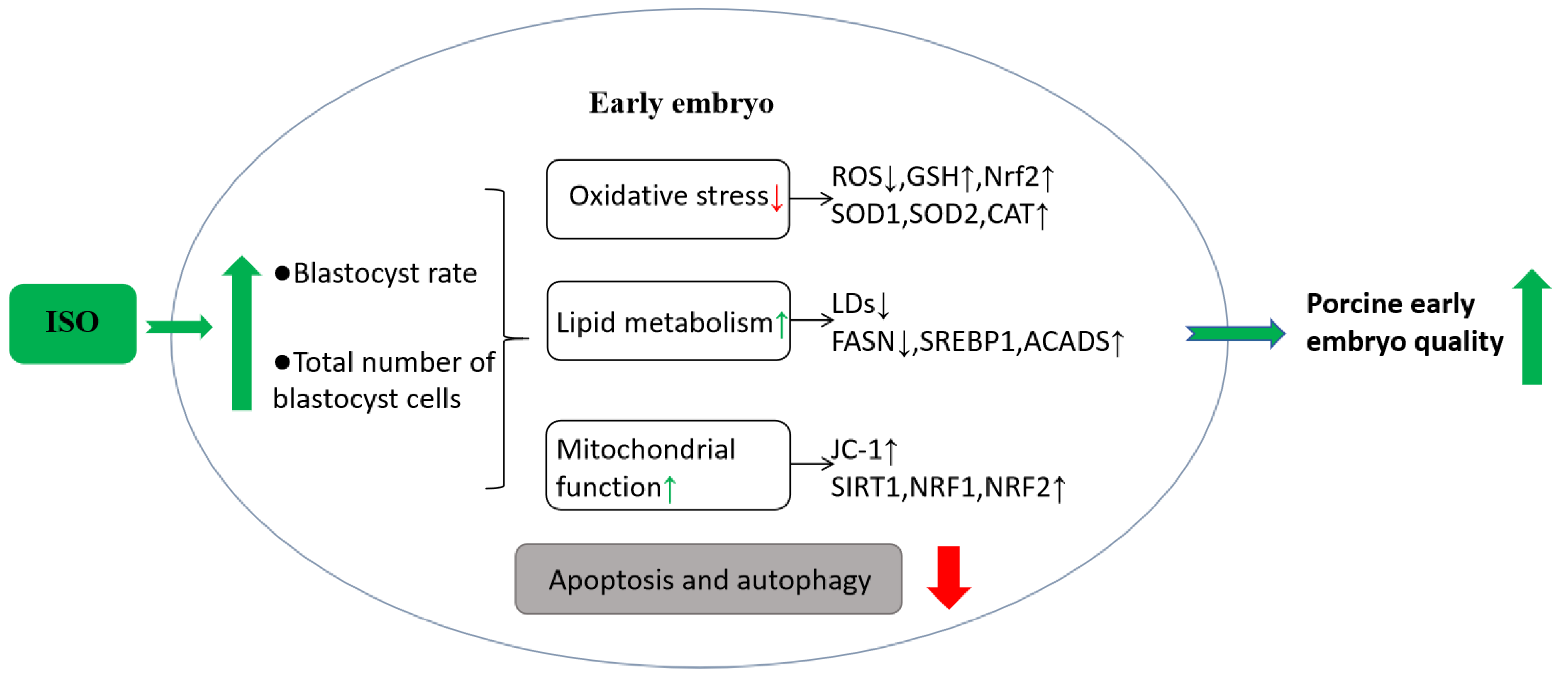 Animals 14 02806 g007