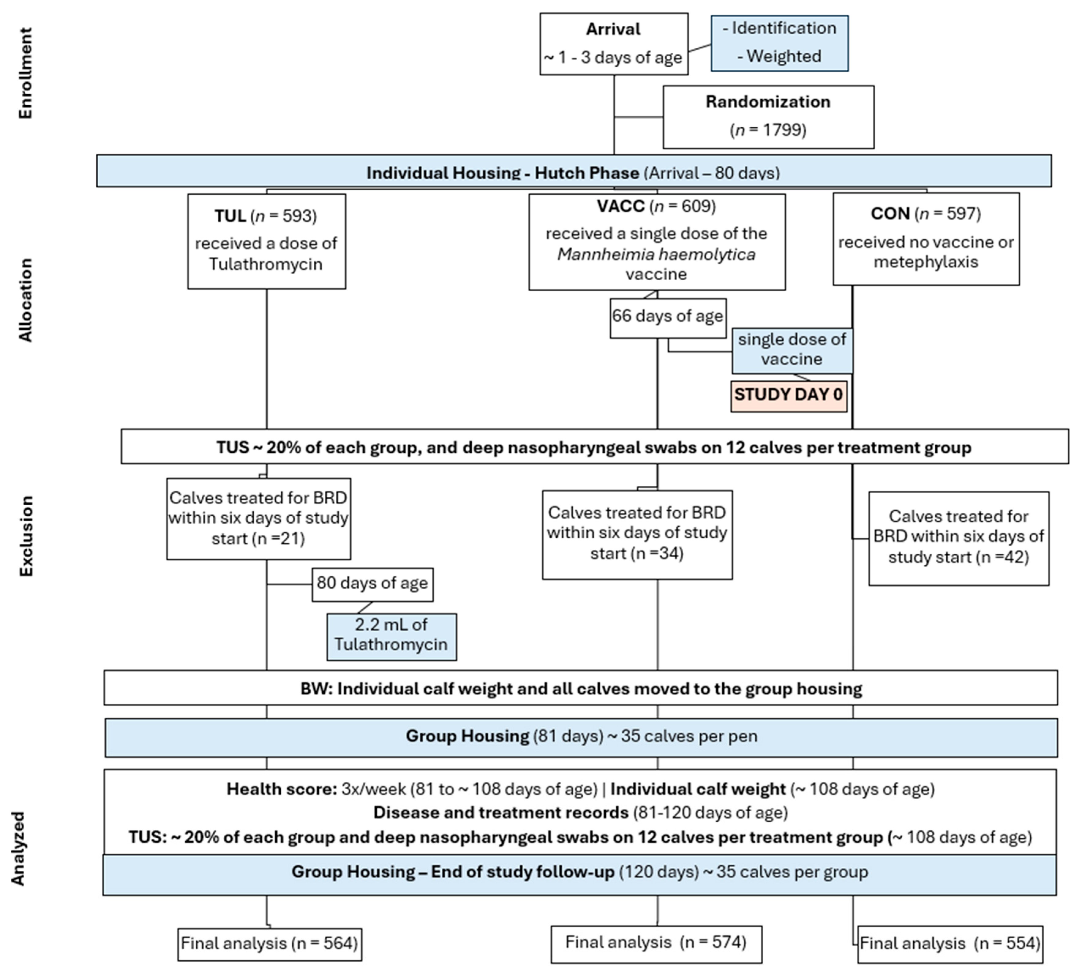 Animals 14 02807 g001