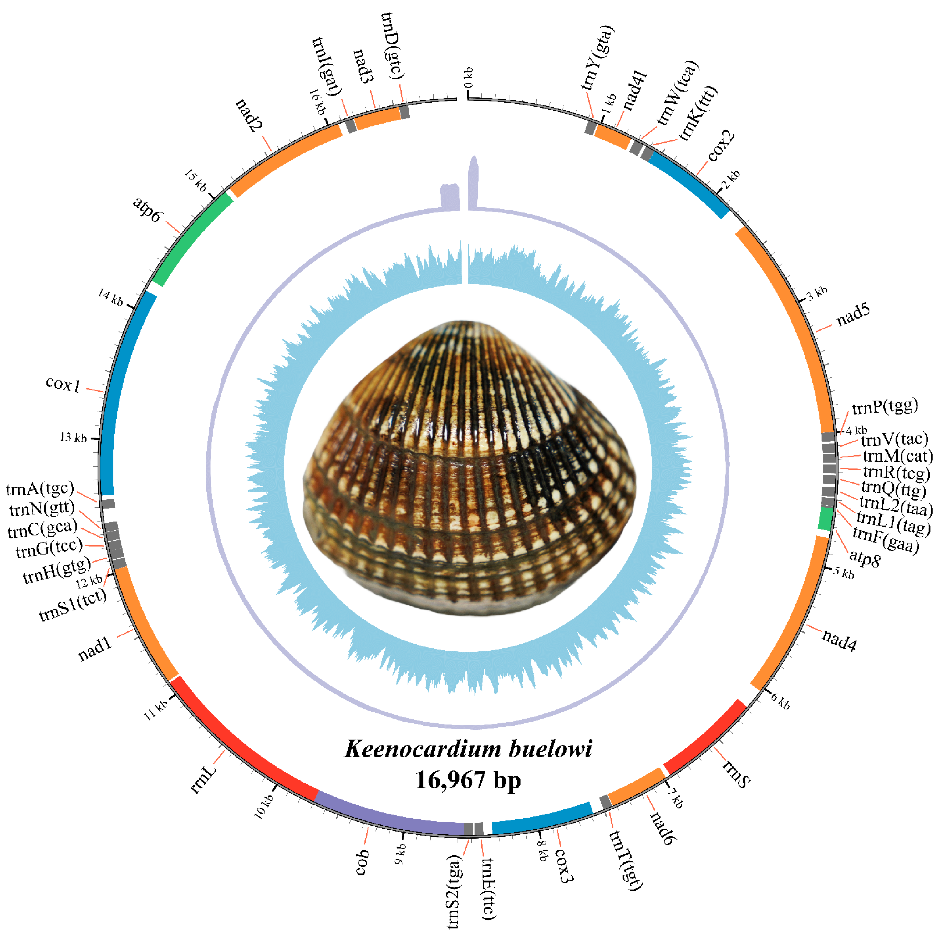 Animals 14 02812 g001