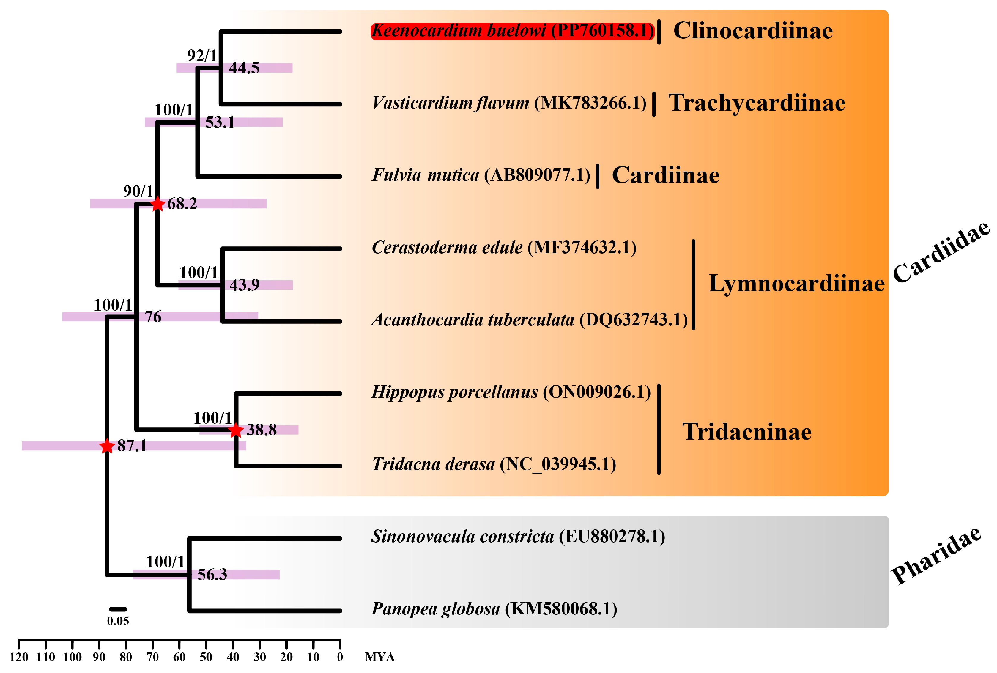 Animals 14 02812 g003