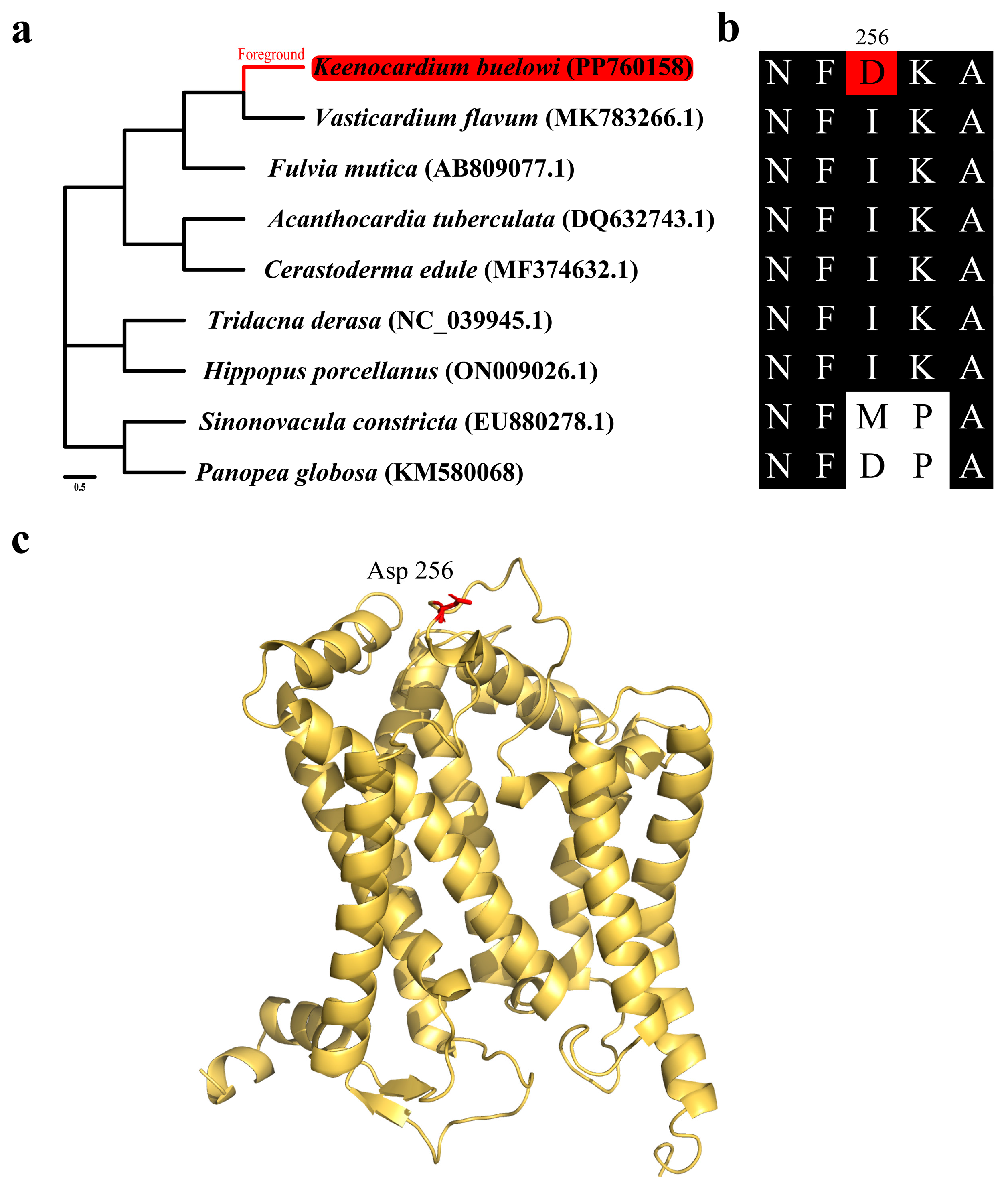 Animals 14 02812 g004