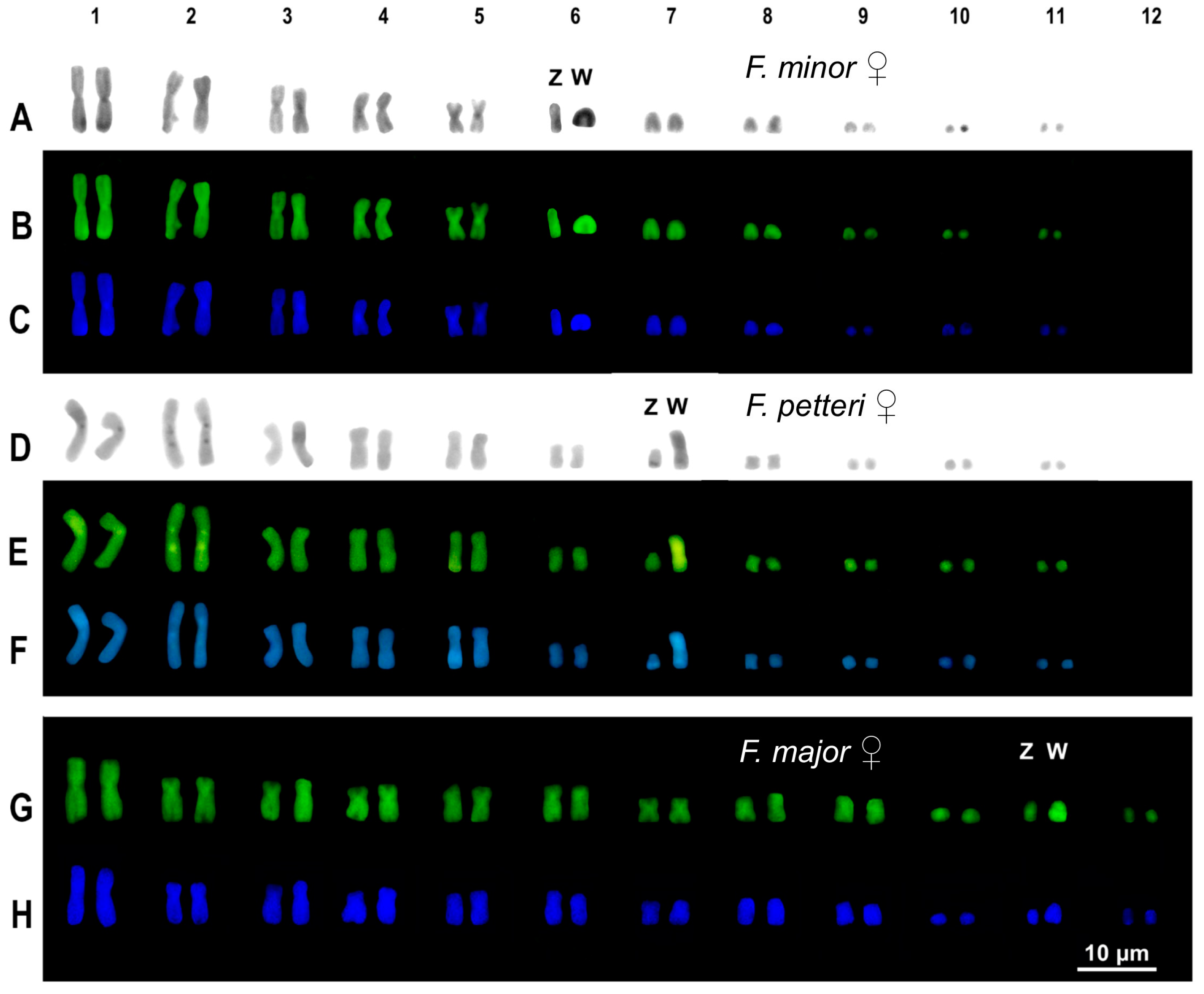 Animals 14 02818 g002