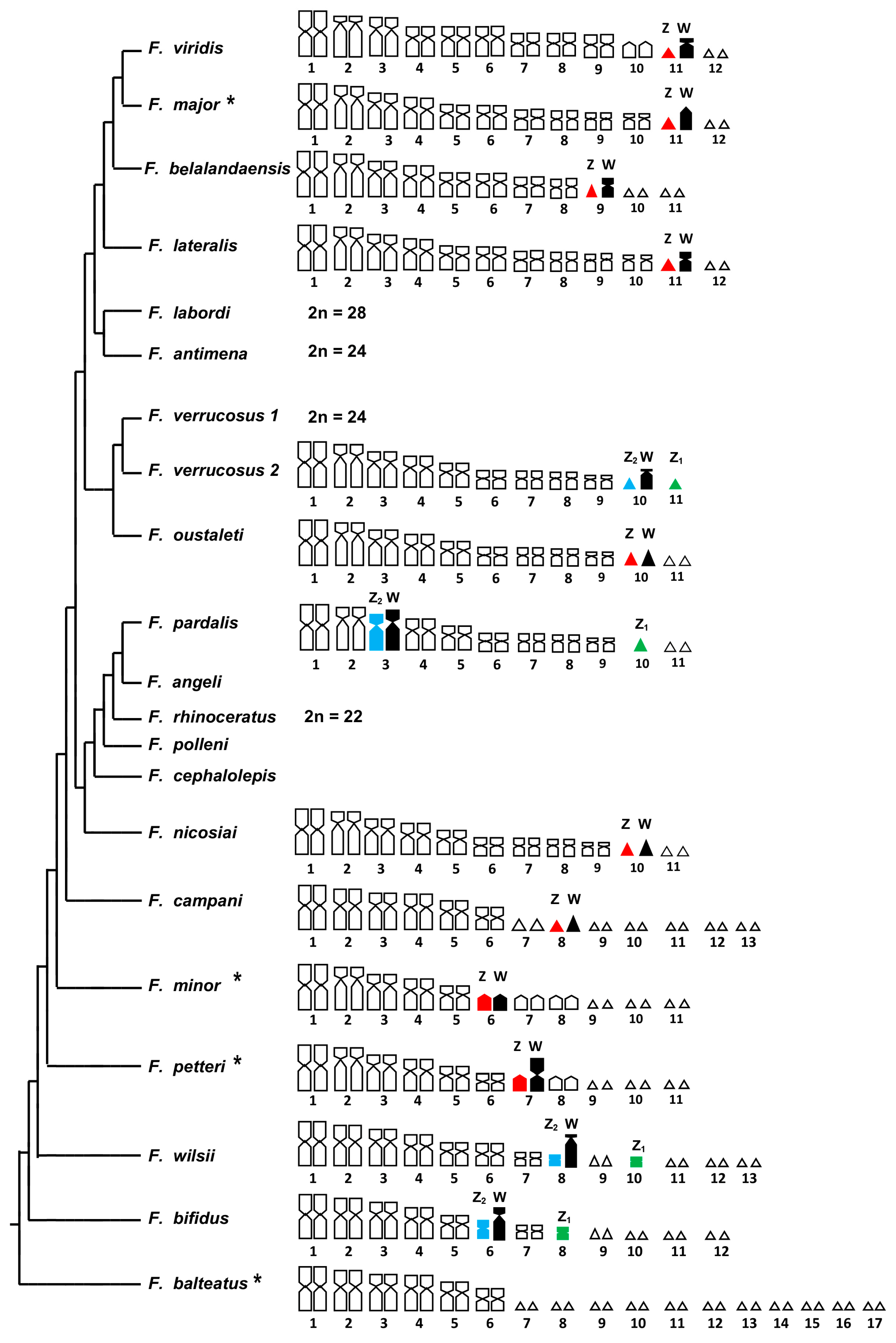 Animals 14 02818 g004