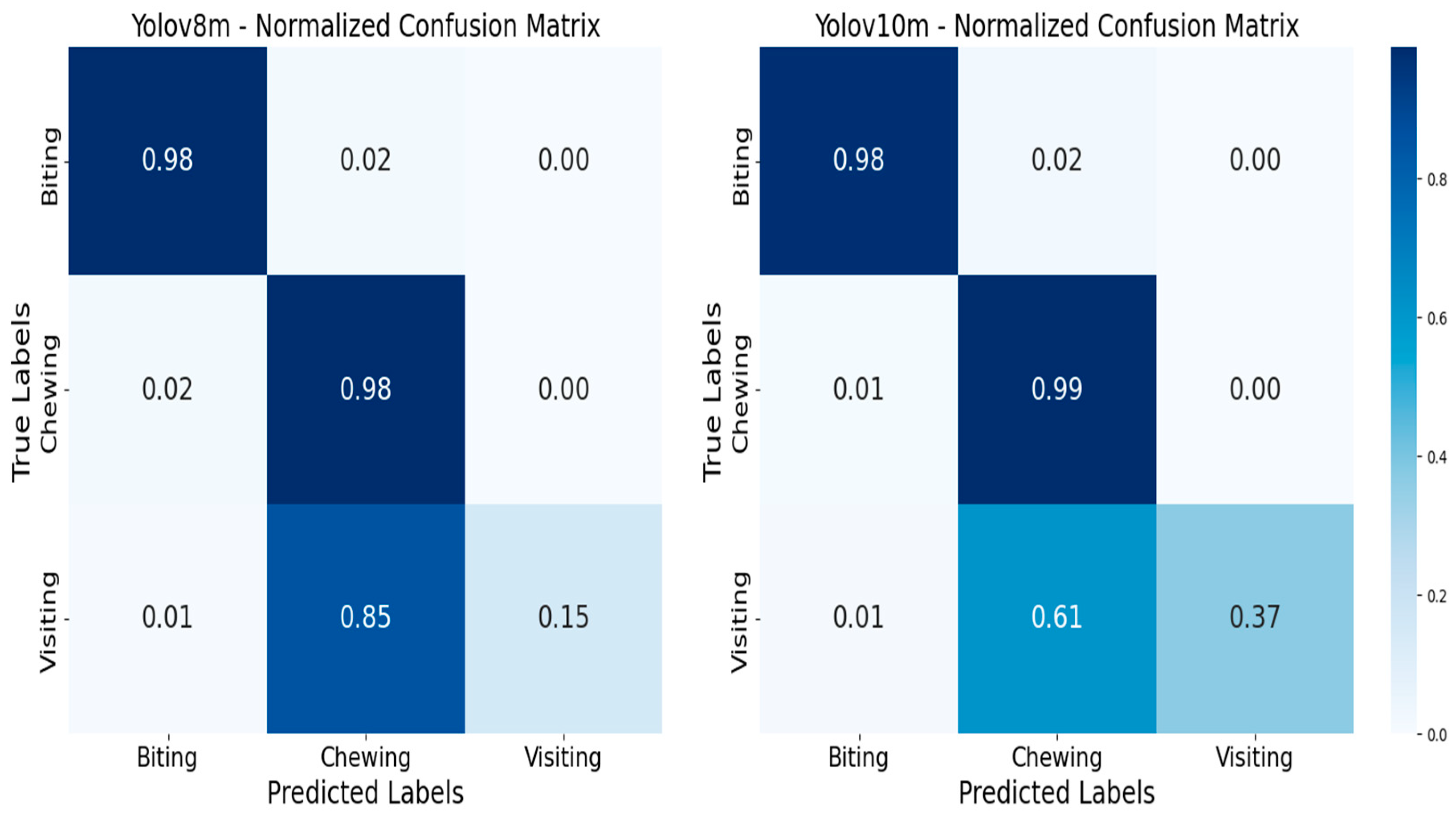 Animals 14 02821 g007