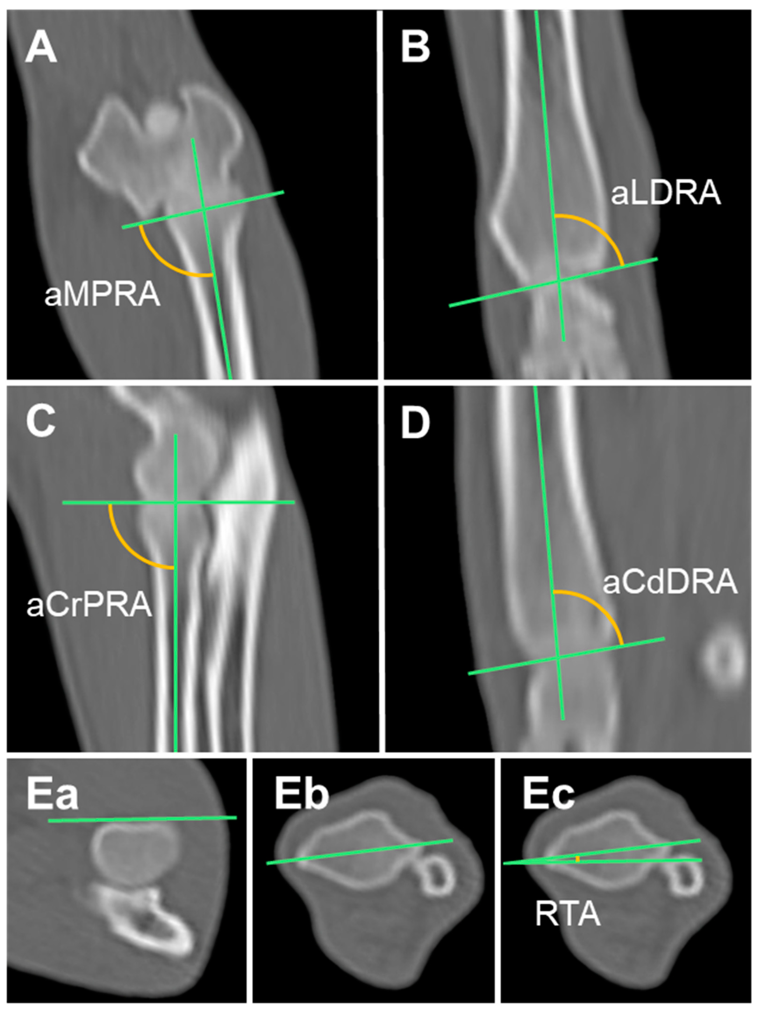 Animals 14 02827 g002
