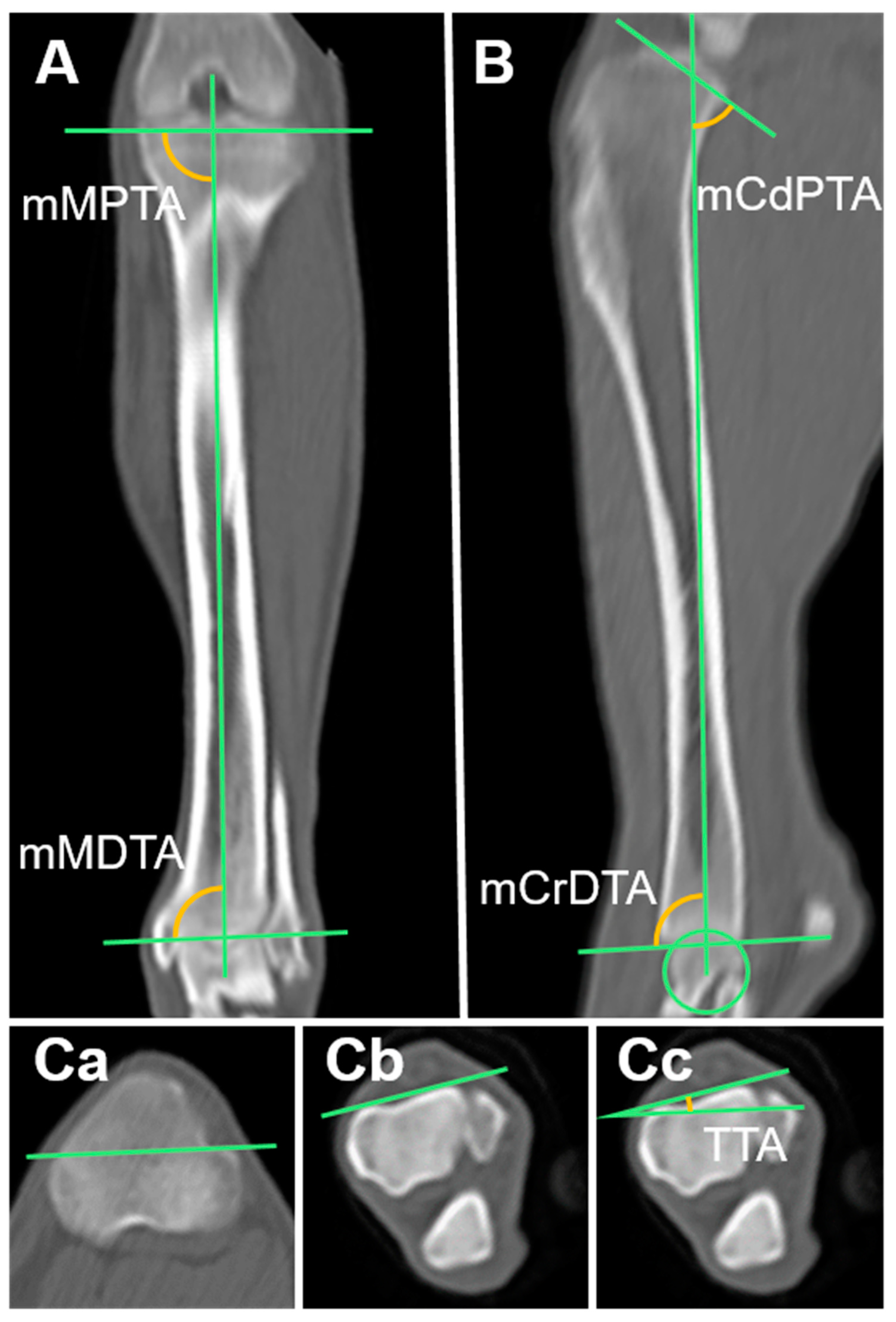 Animals 14 02827 g004