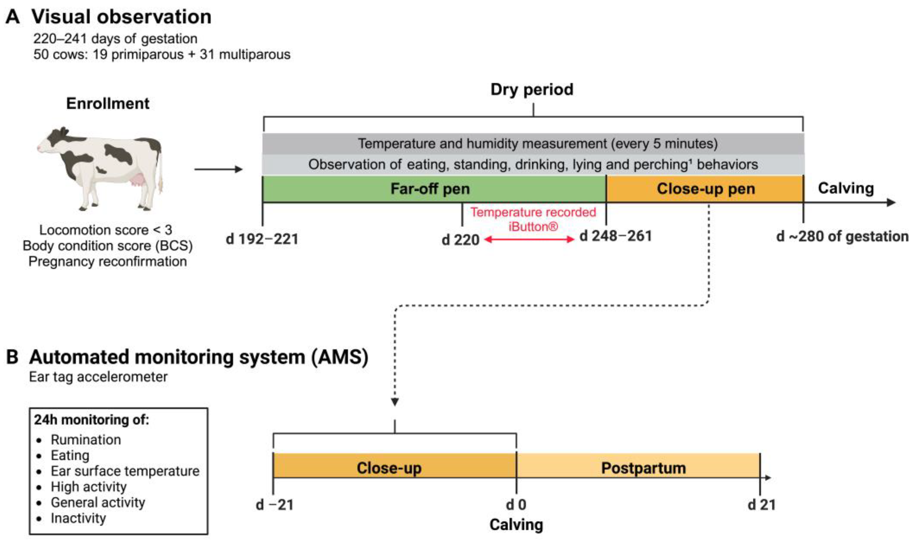 Animals 14 02832 g001