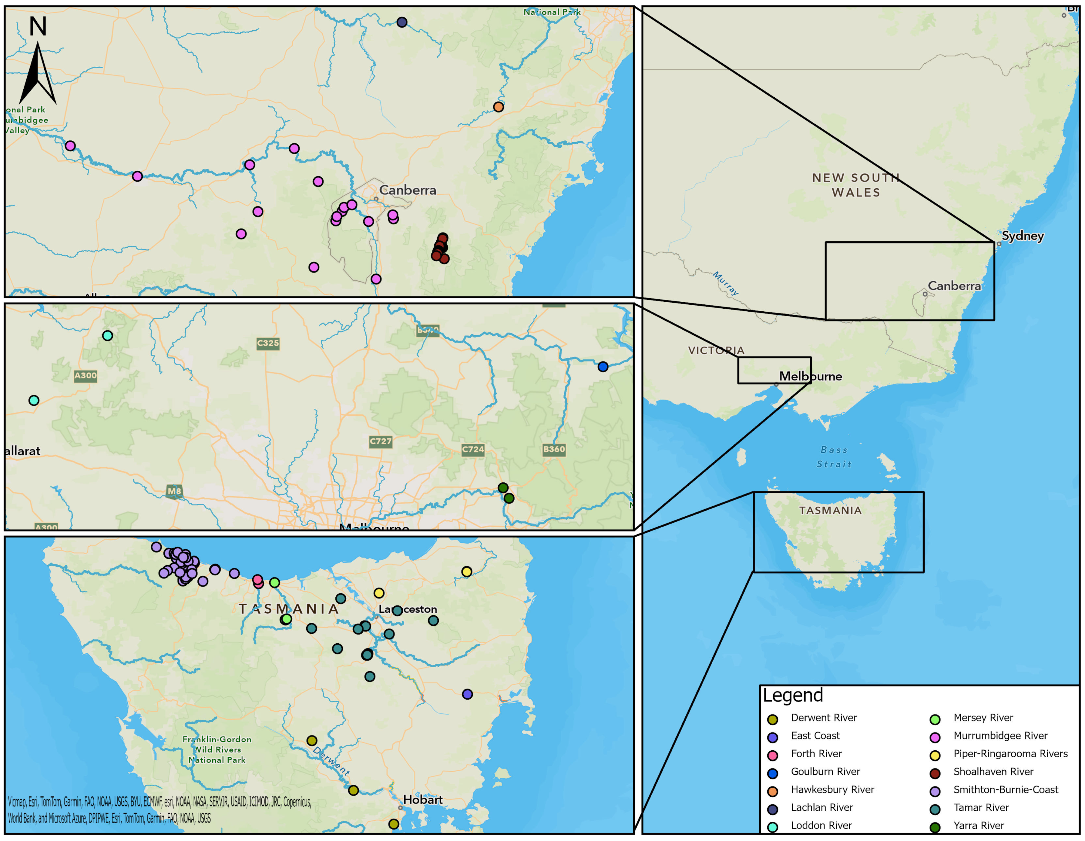 Animals 14 02834 g001 Animals 14 02834 g001