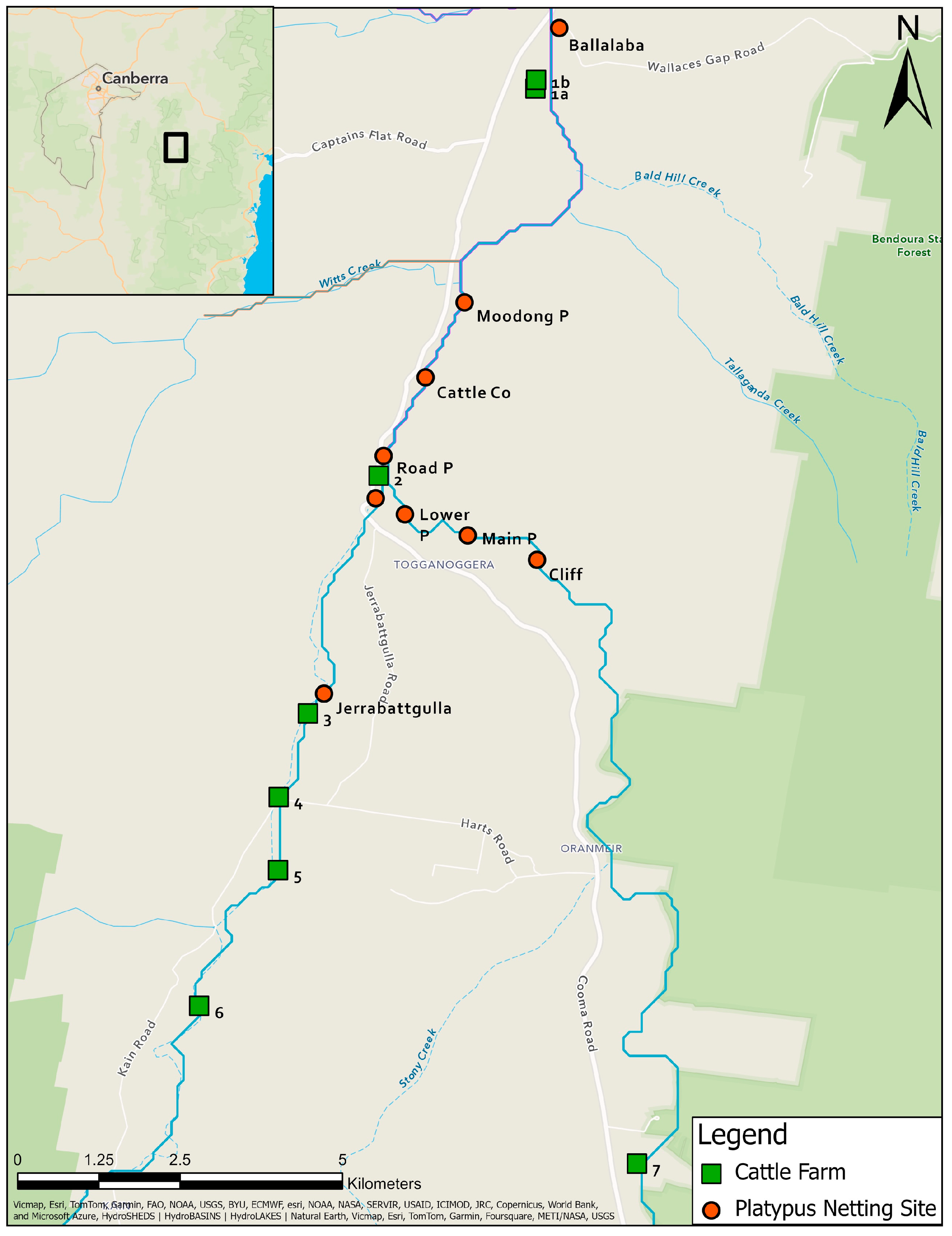 Animals 14 02834 g002 Animals 14 02834 g002