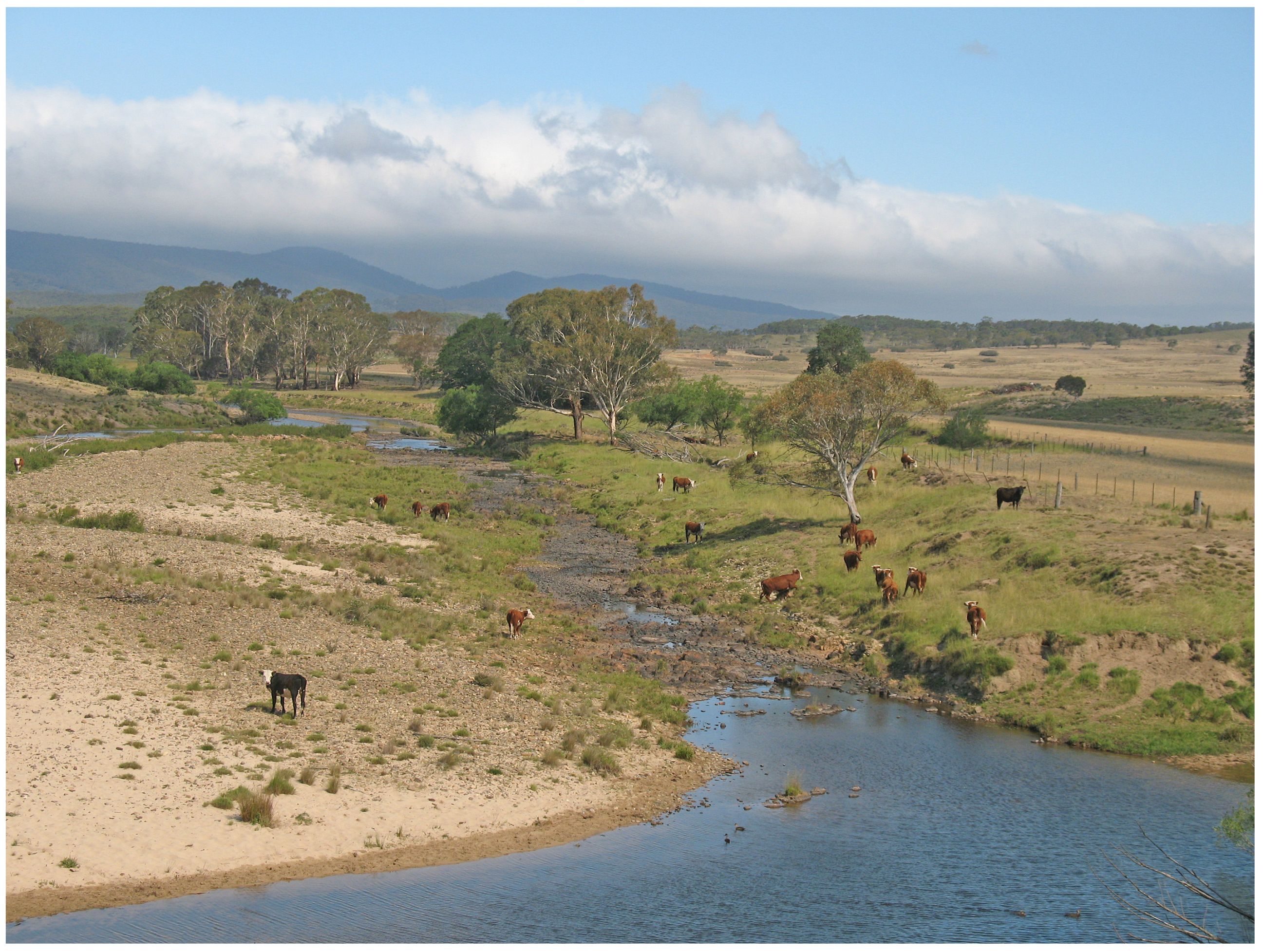 Animals 14 02834 g010 Animals 14 02834 g010