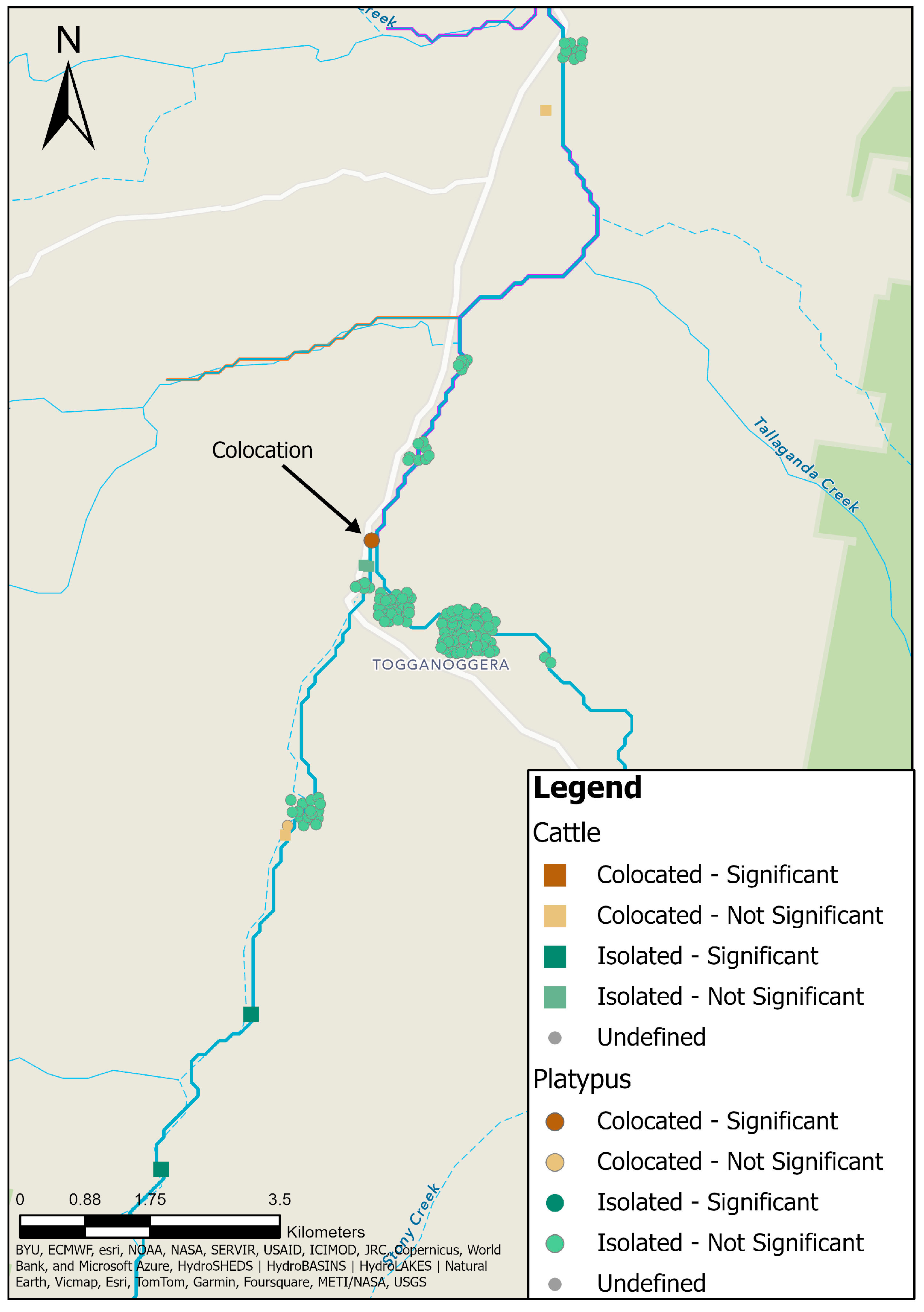 Animals 14 02834 g011 Animals 14 02834 g011