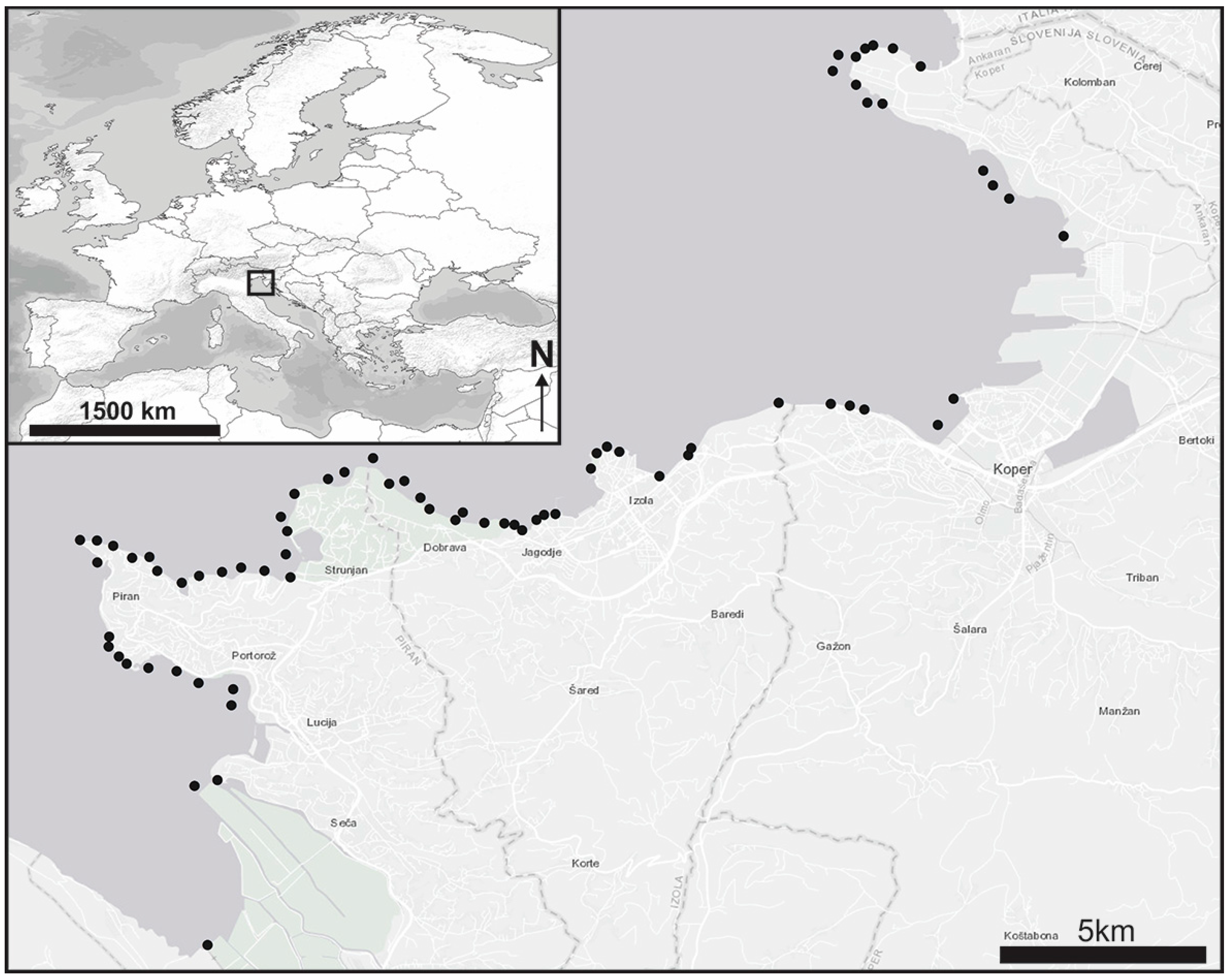 Animals 14 02835 g001