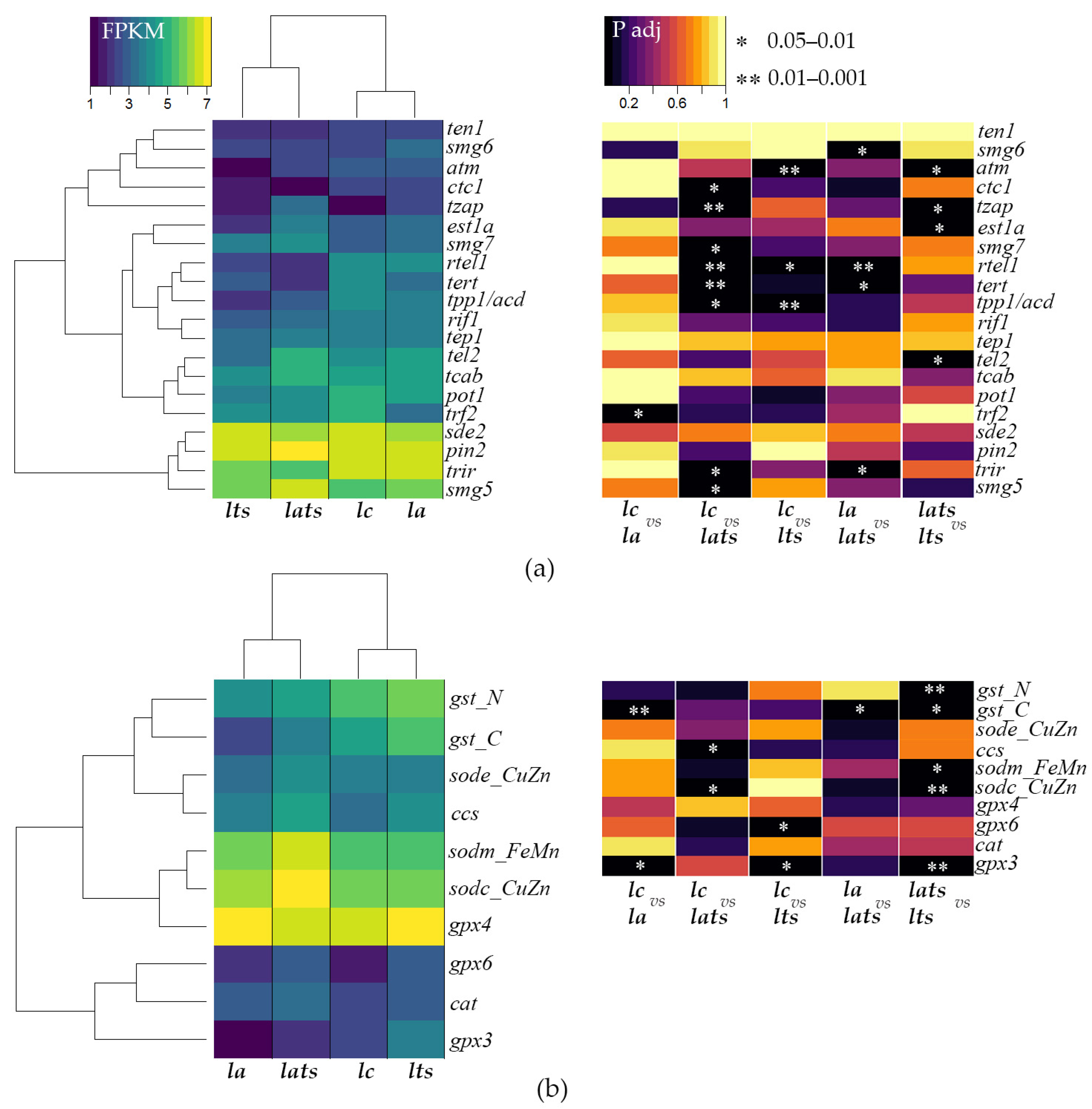 Animals 14 02839 g003