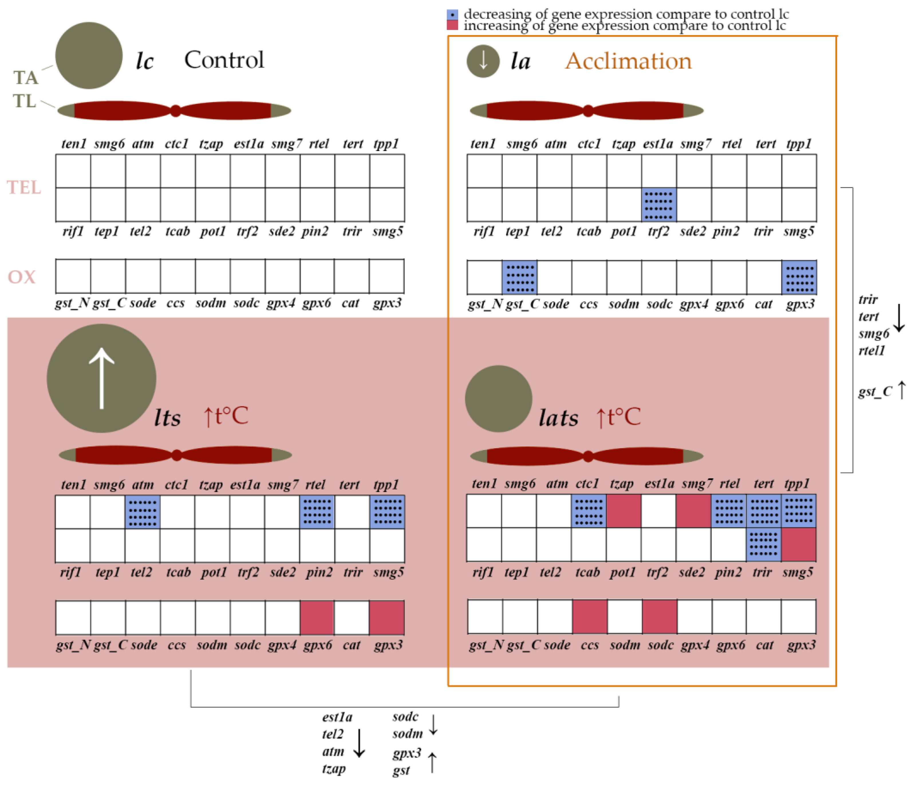 Animals 14 02839 g004