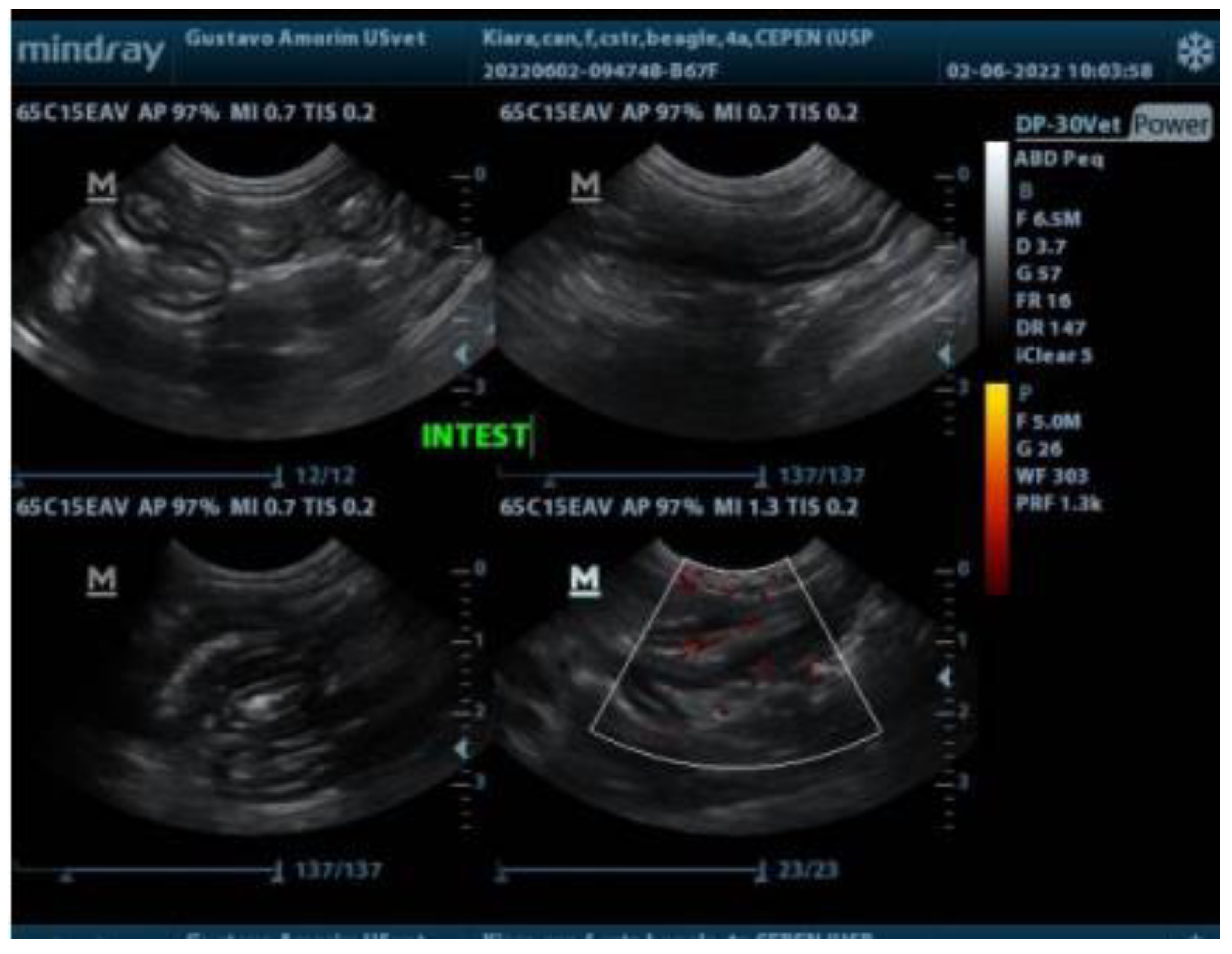 Animals 14 02859 g001 Animals 14 02859 g001