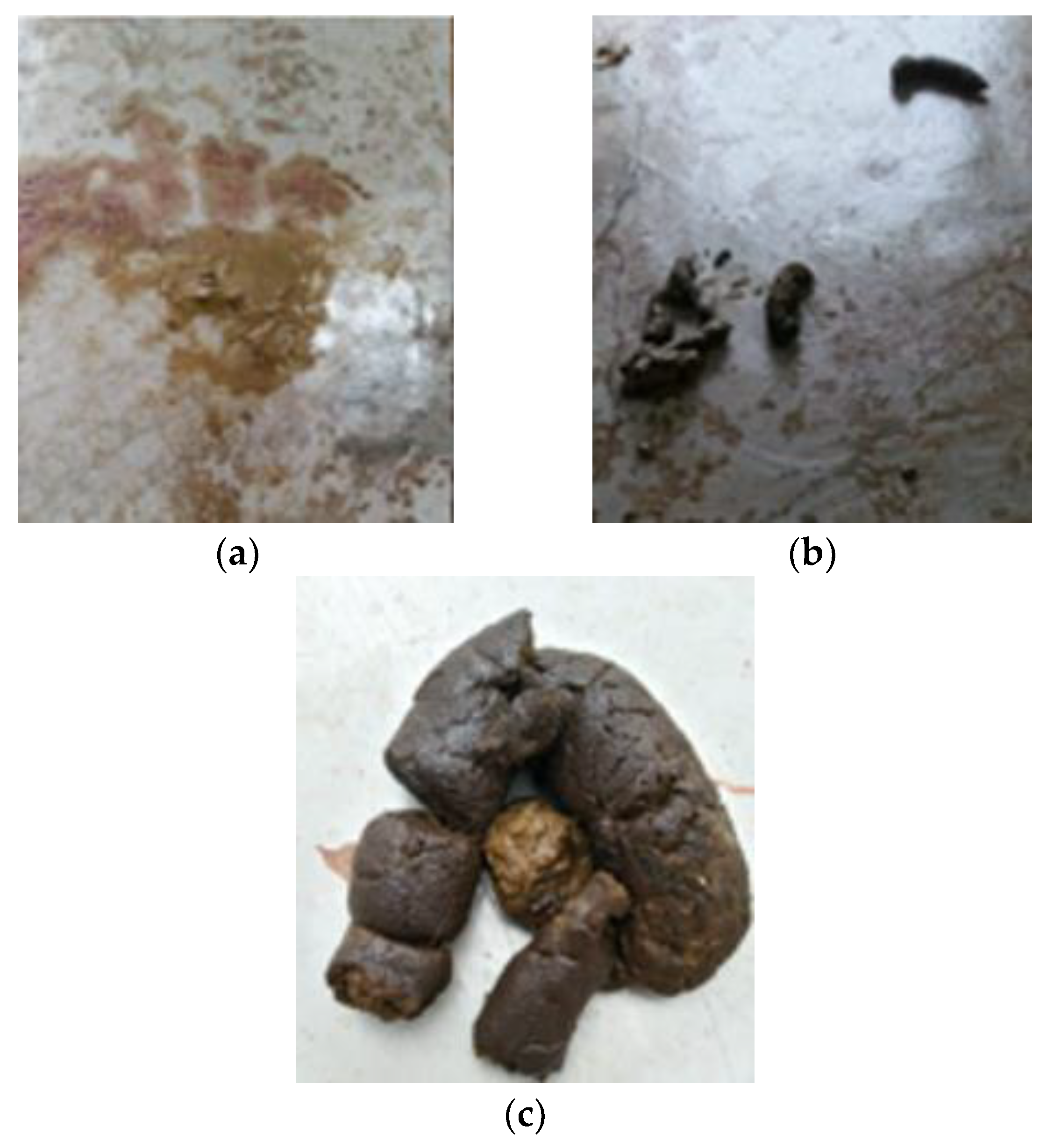 Animals 14 02859 g004 Animals 14 02859 g004