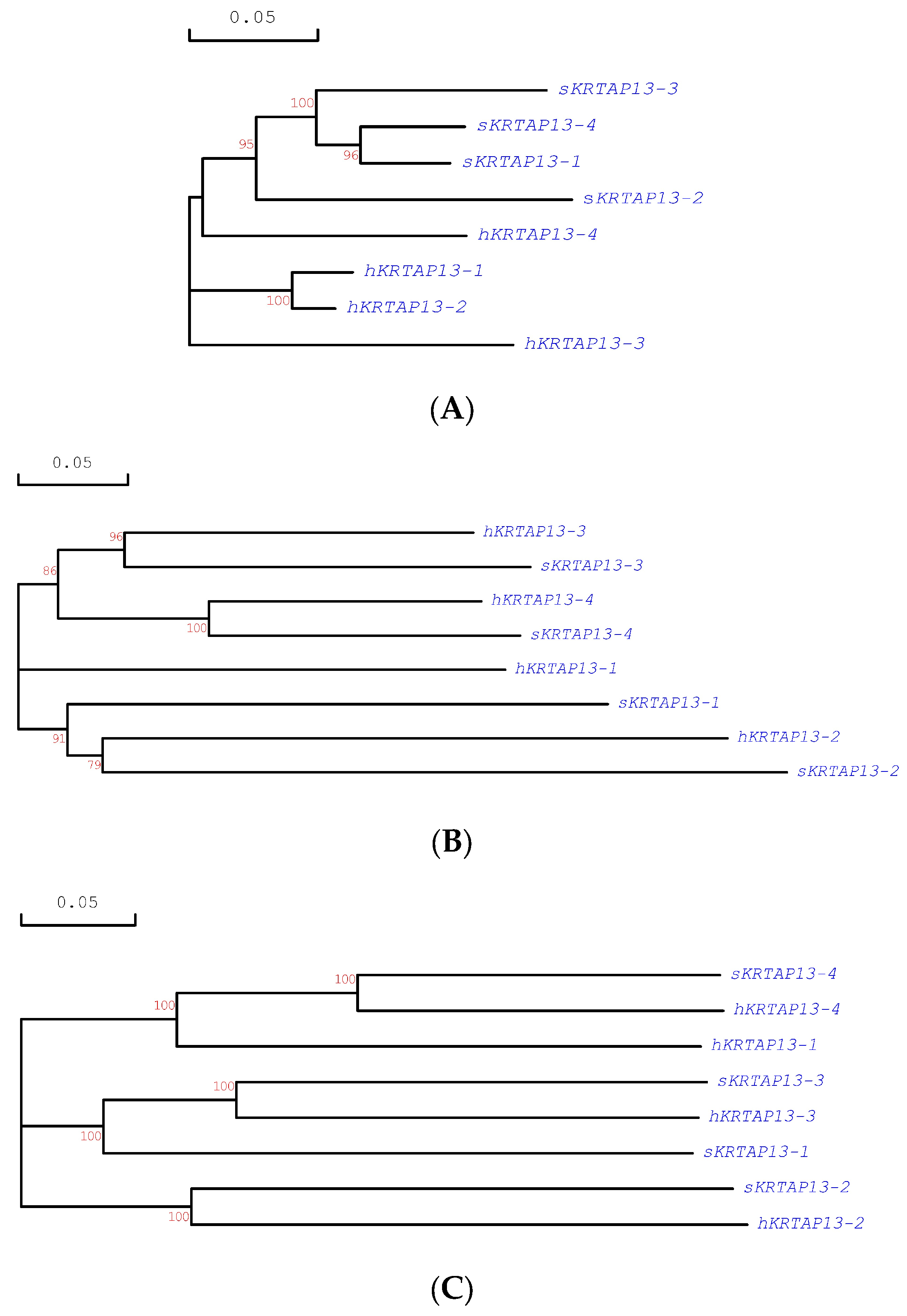 Animals 14 02862 g001