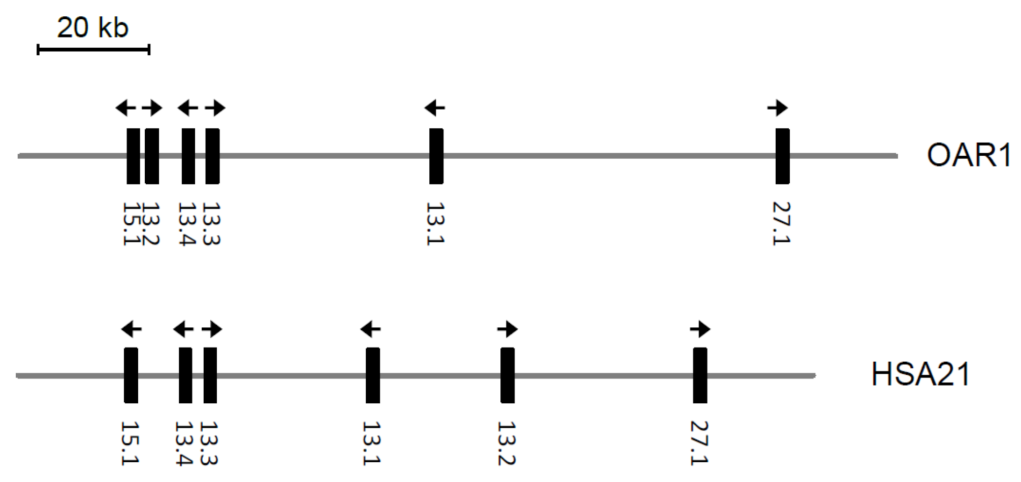 Animals 14 02862 g002