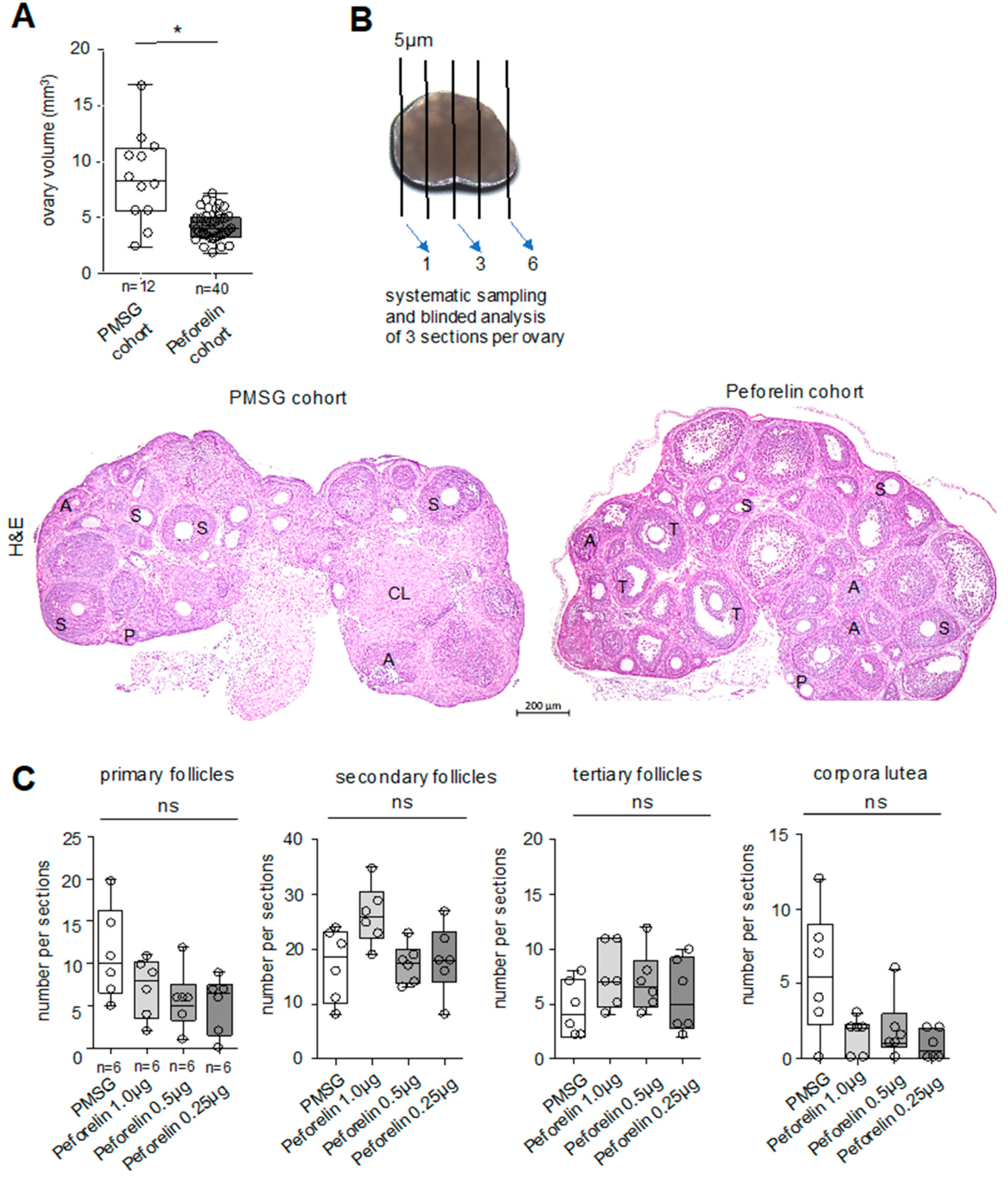 Animals 14 02866 g002