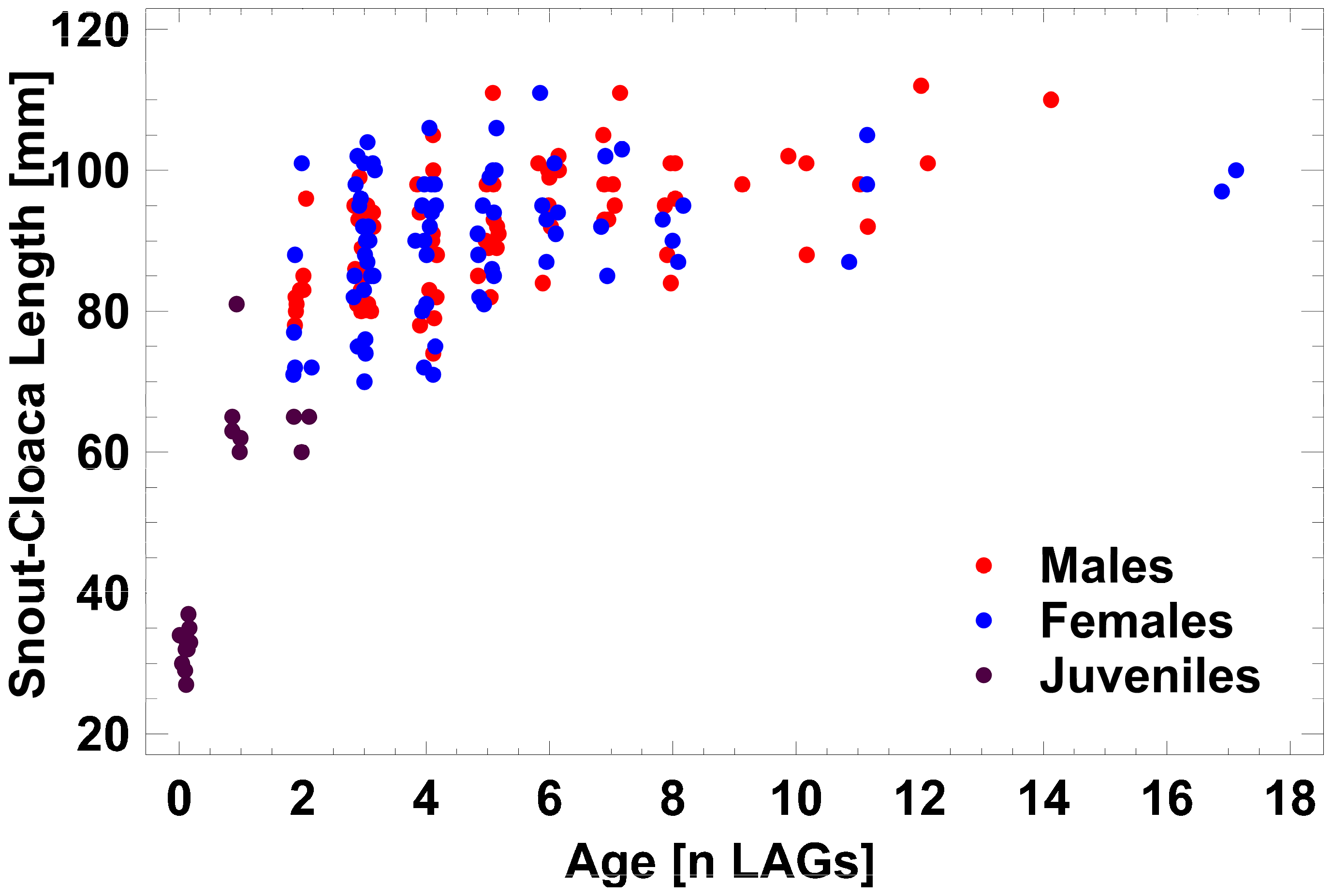 Animals 14 02869 g003