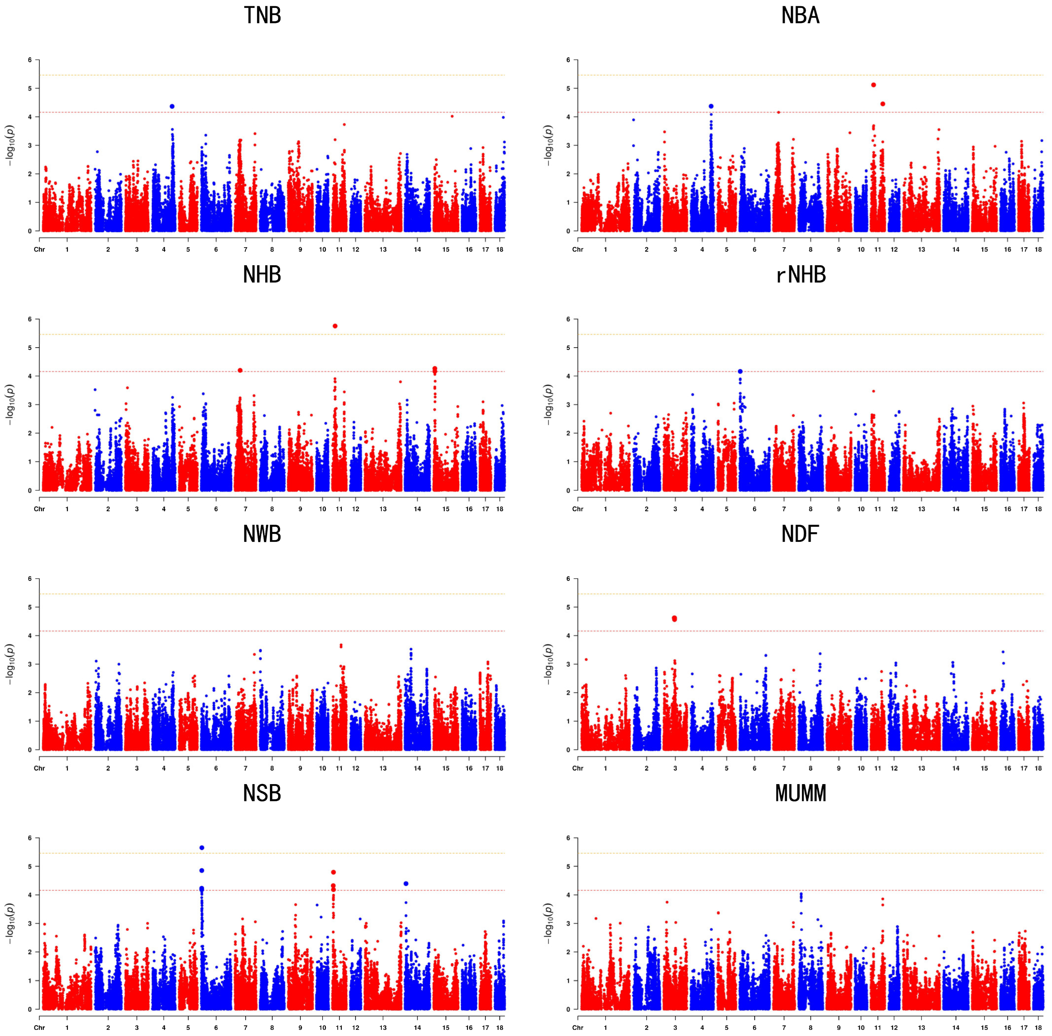 Animals 14 02874 g002 Animals 14 02874 g002