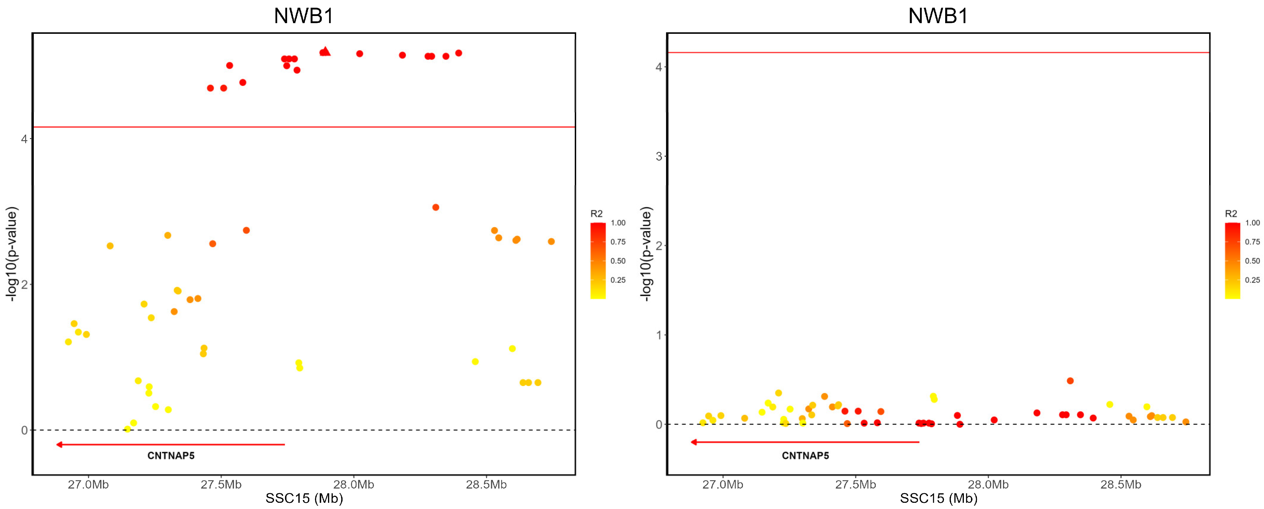 Animals 14 02874 g004 Animals 14 02874 g004