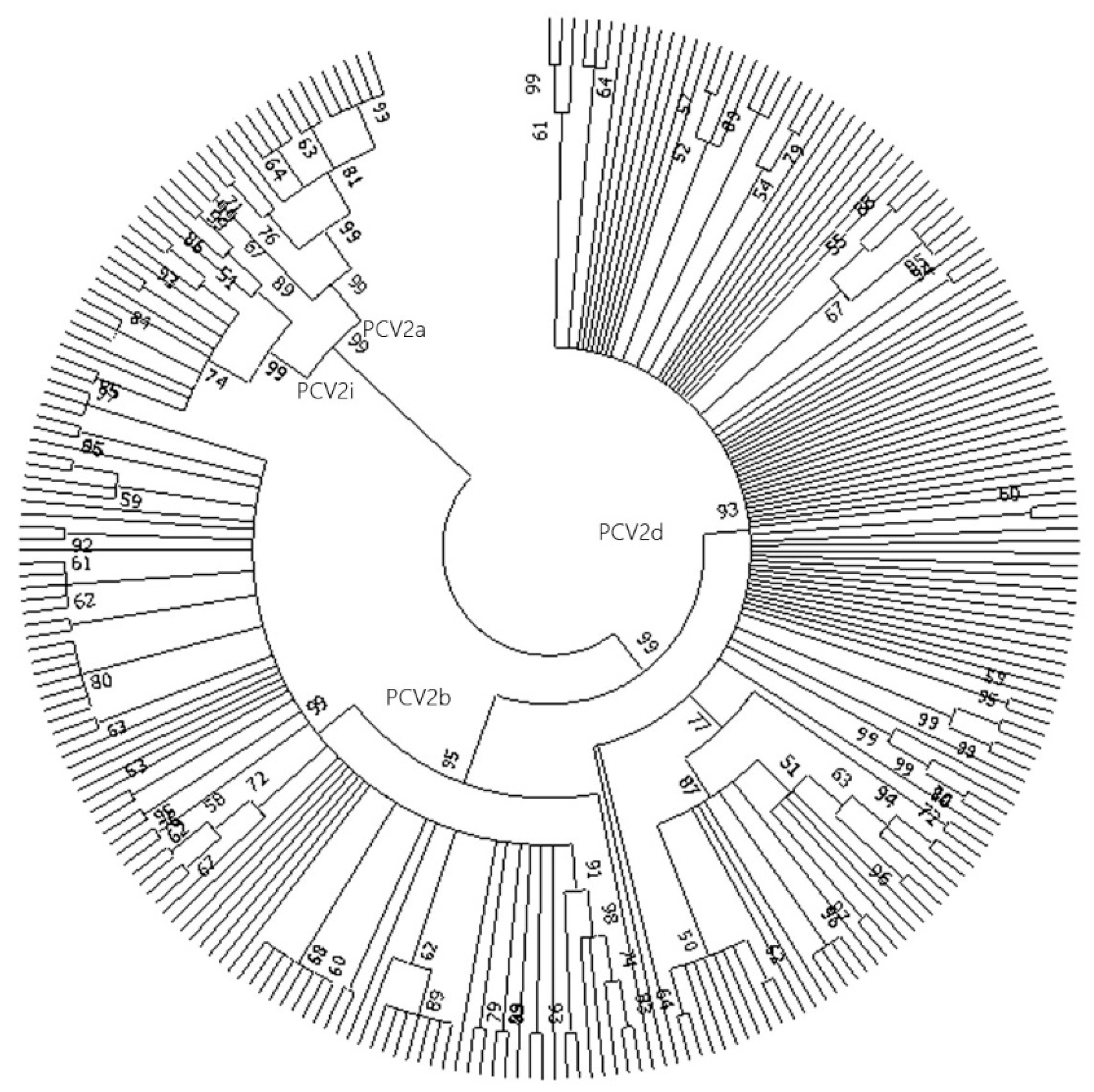 Animals 14 02882 g001
