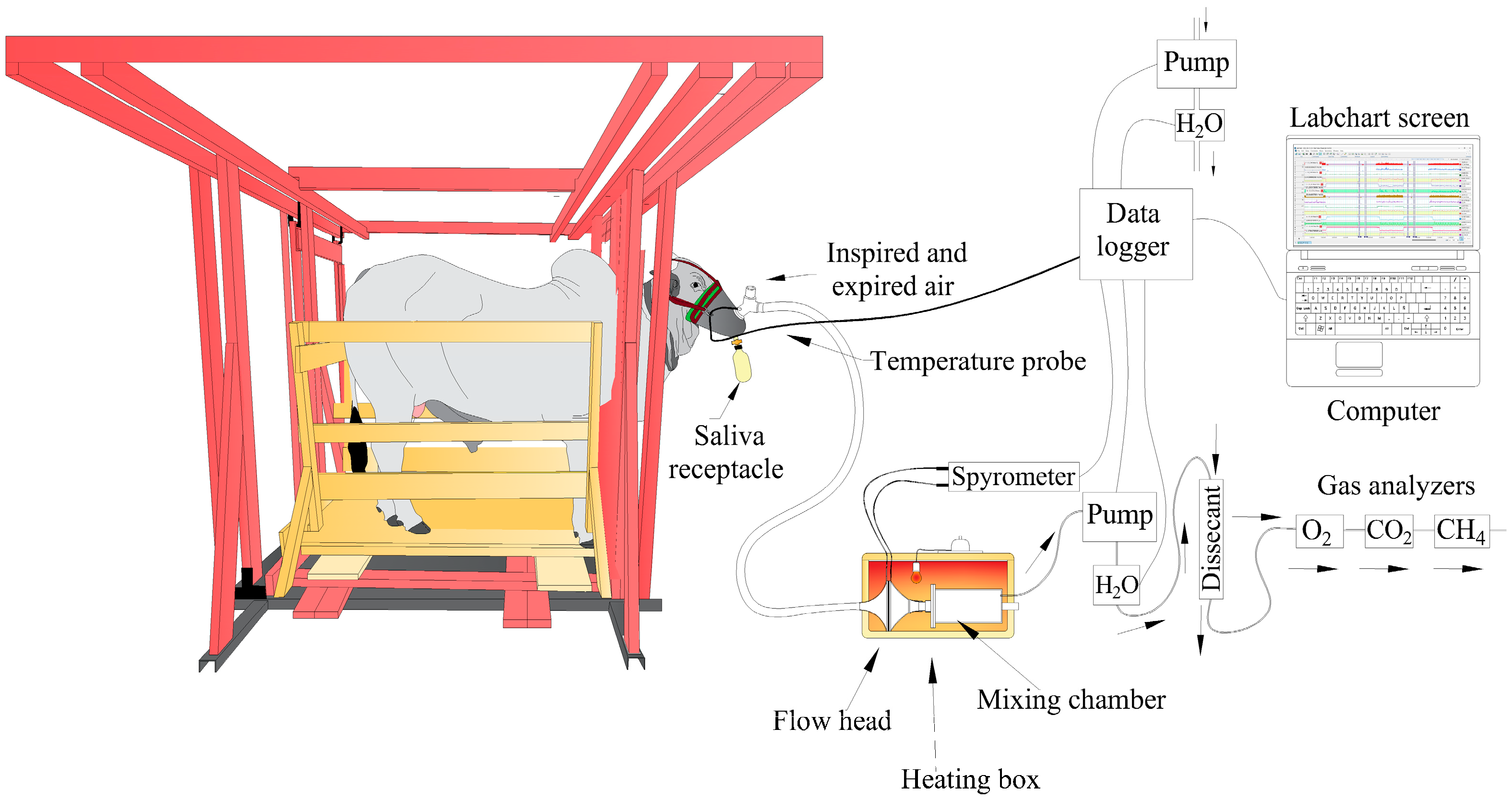 Animals 14 02888 g002