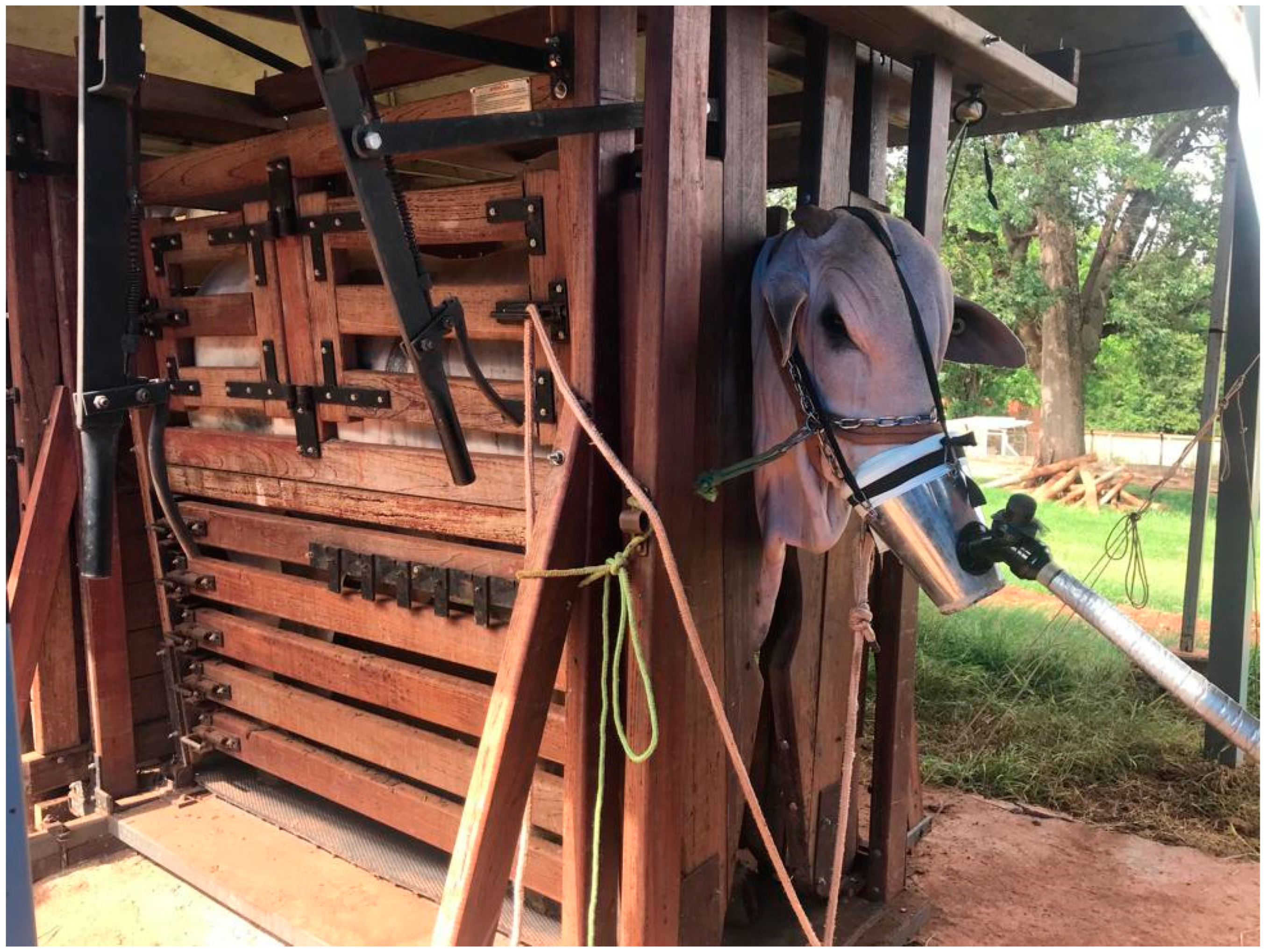 Animals 14 02888 g003