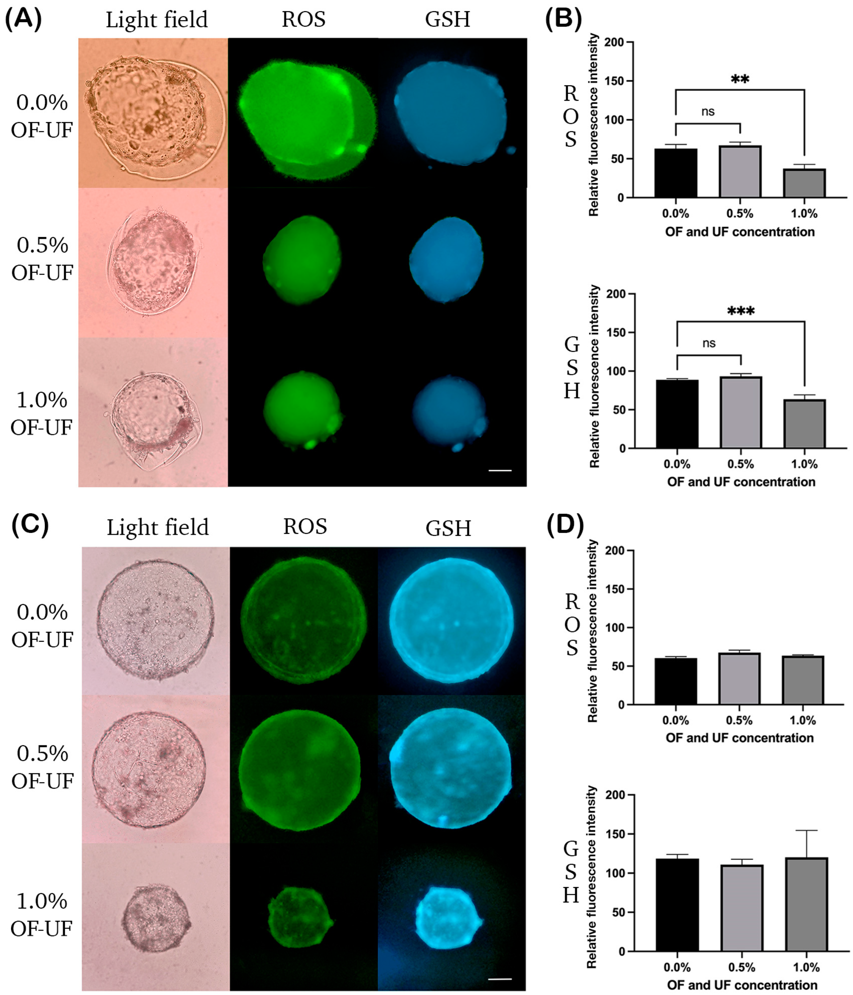 Animals 14 02894 g001