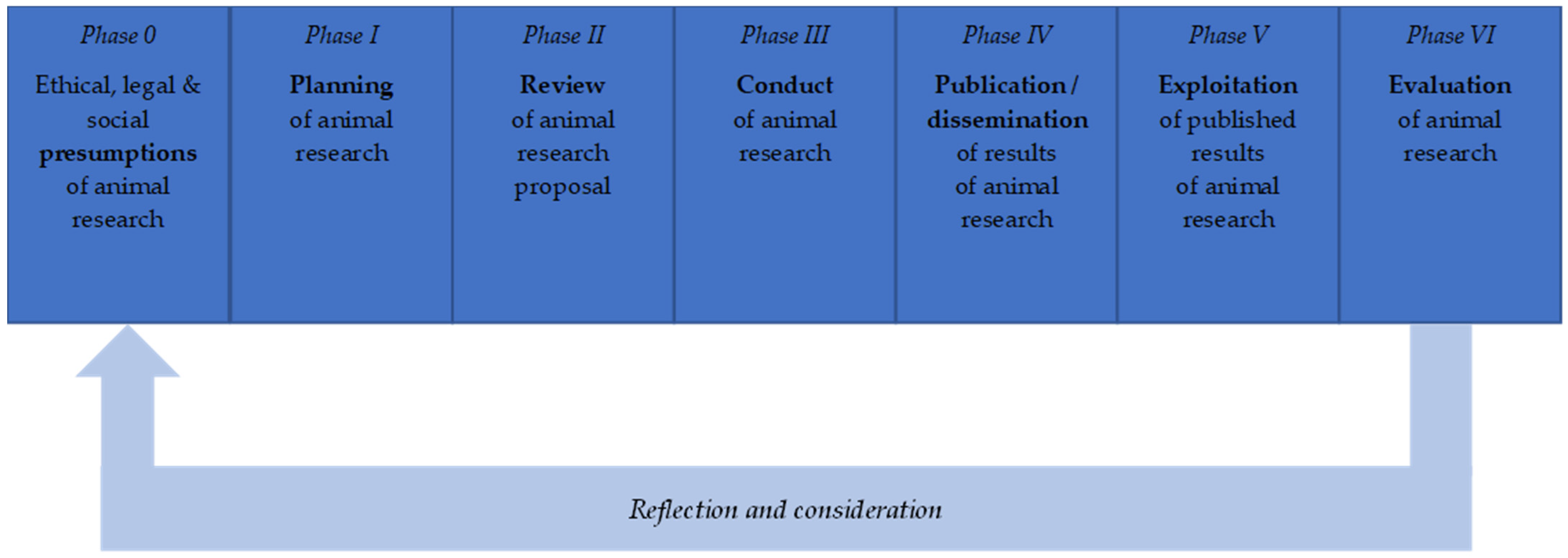 Animals 14 02896 g001