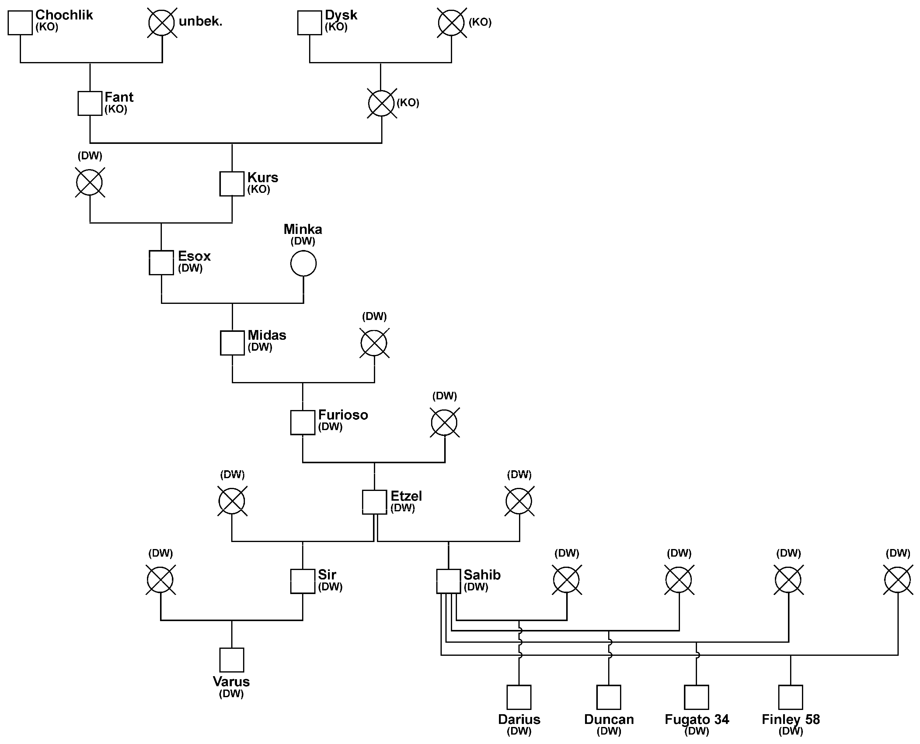 Animals 14 02904 g002