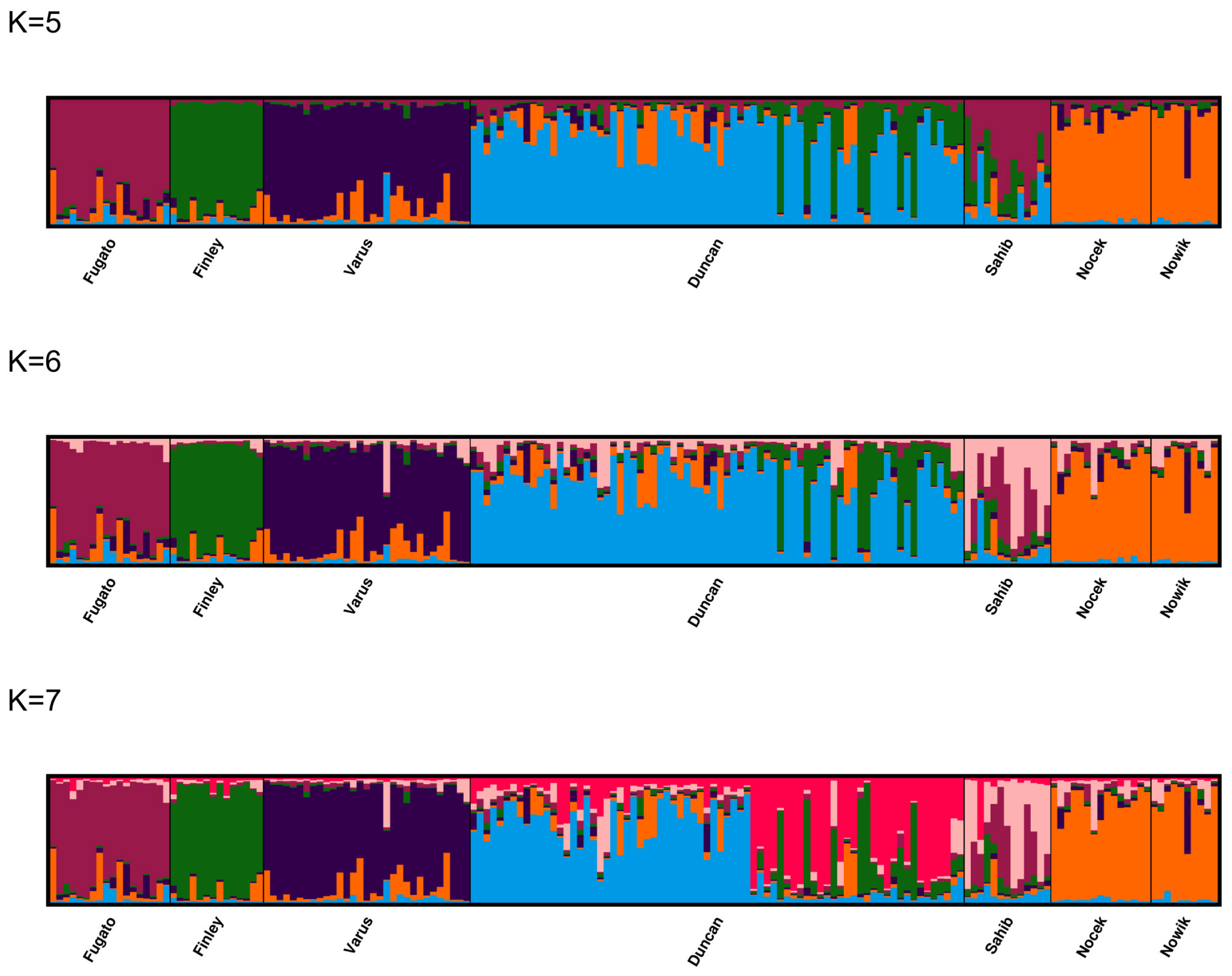 Animals 14 02904 g006