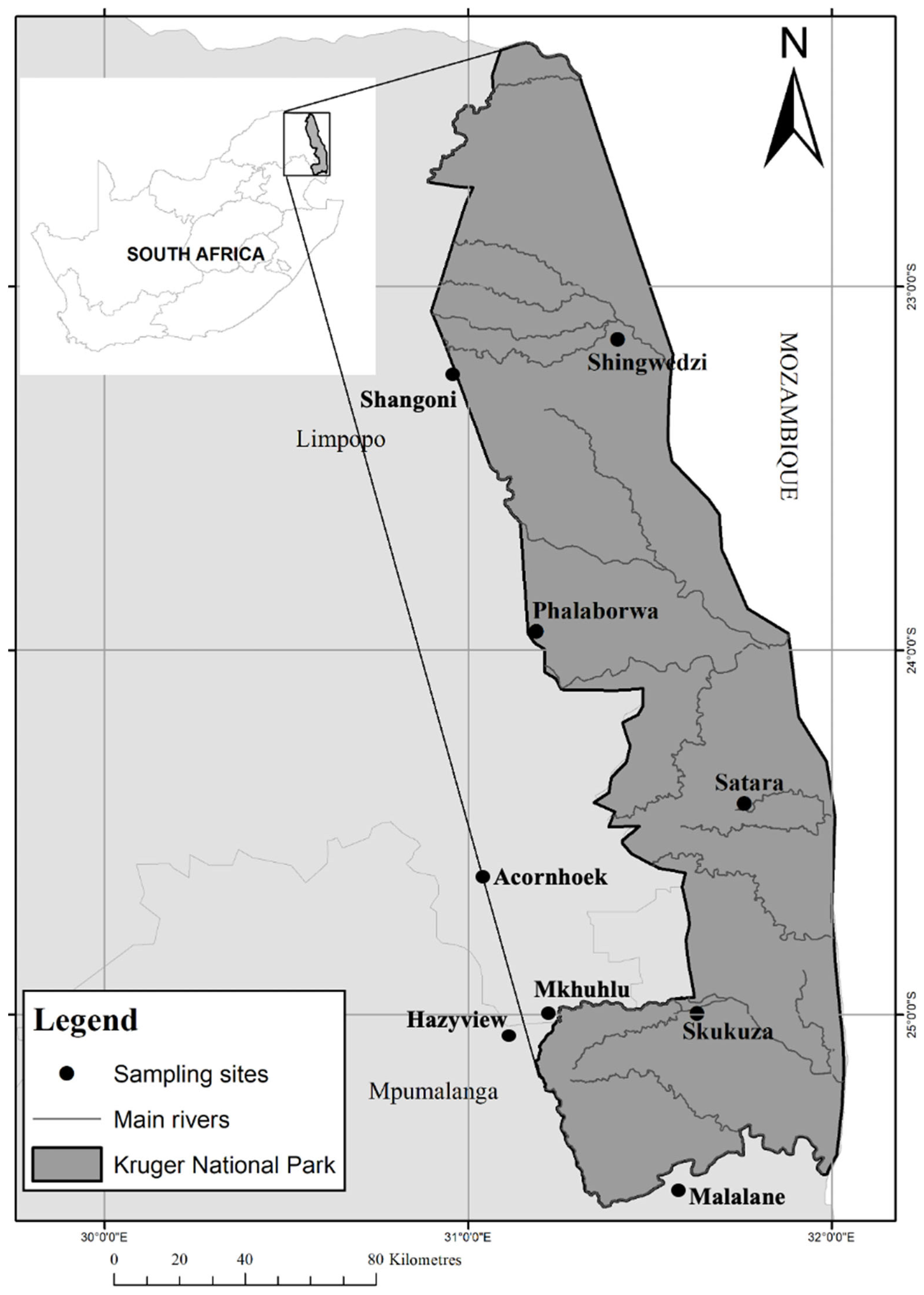 Animals 14 02906 g001