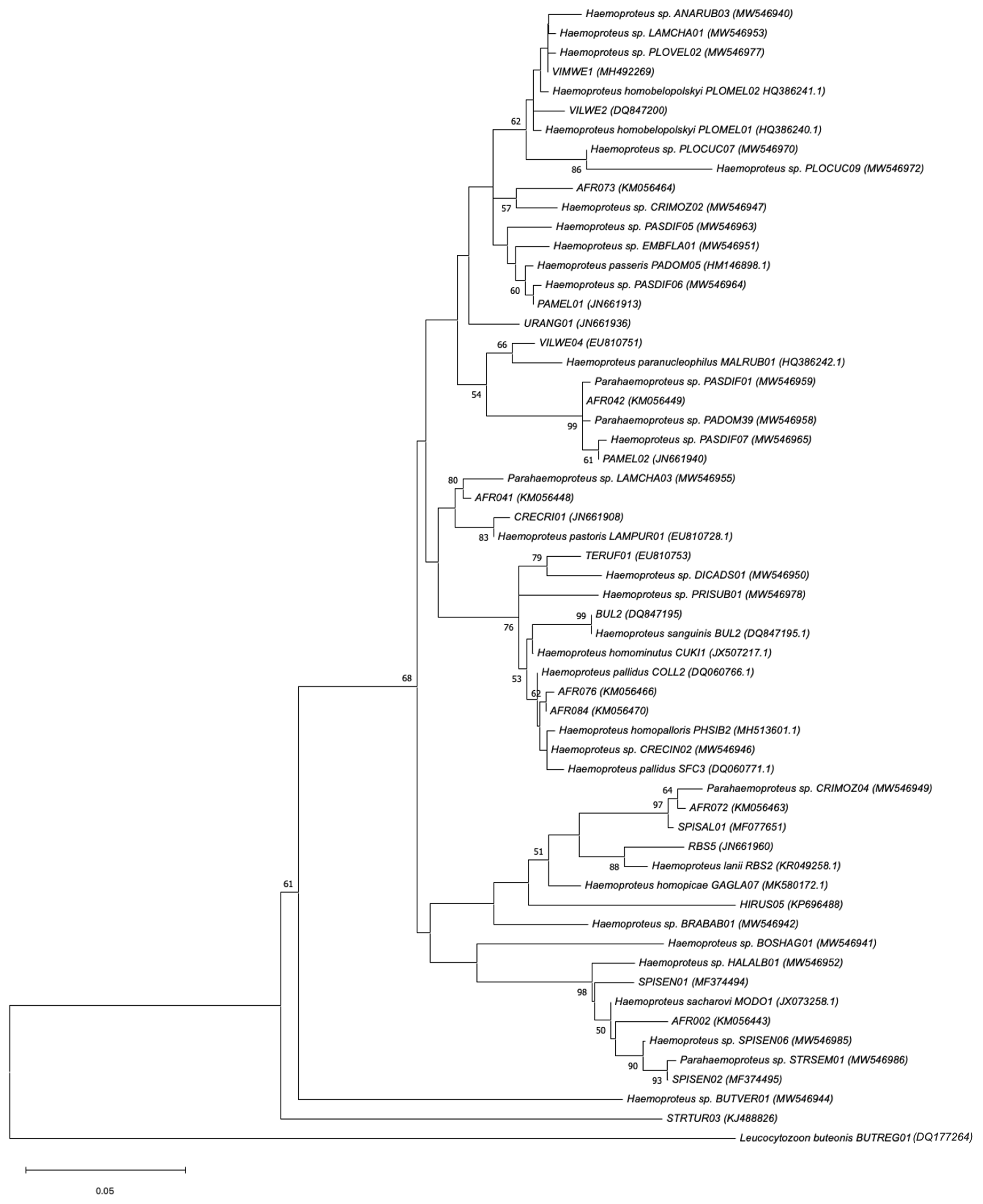 Animals 14 02906 g006