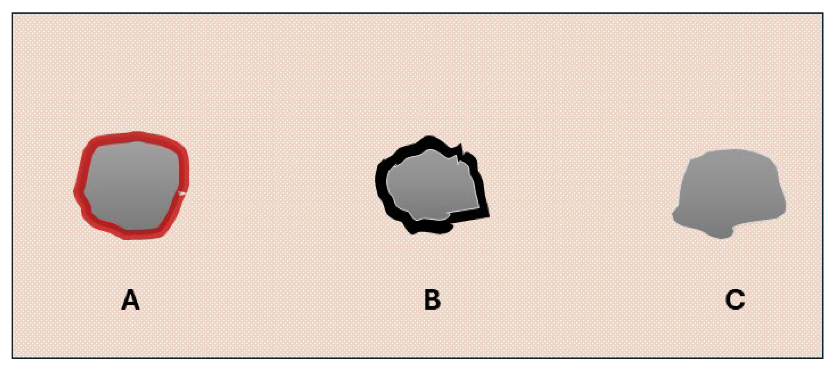 Animals 14 02913 g003