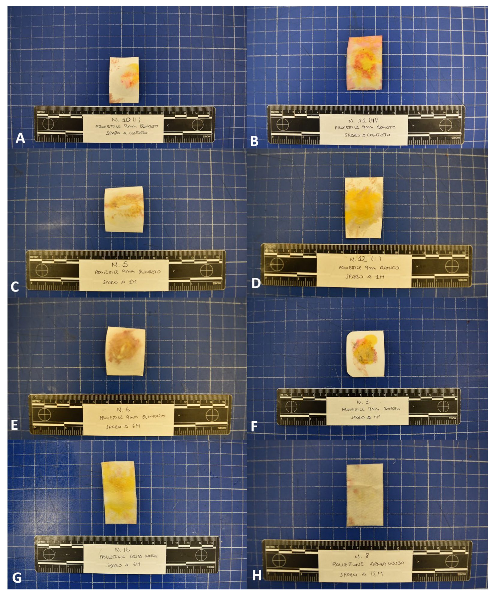 Animals 14 02913 g006