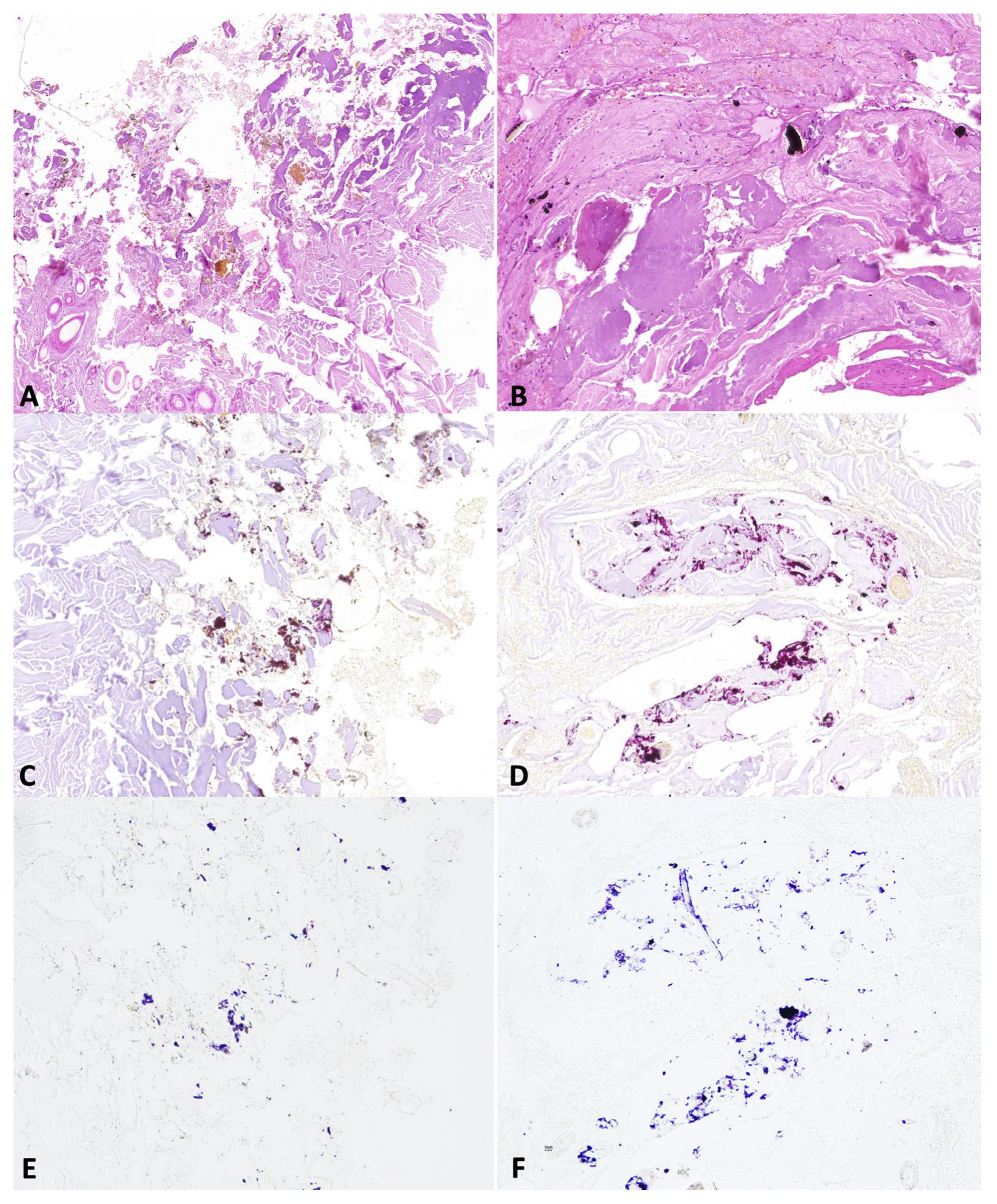 Animals 14 02913 g007