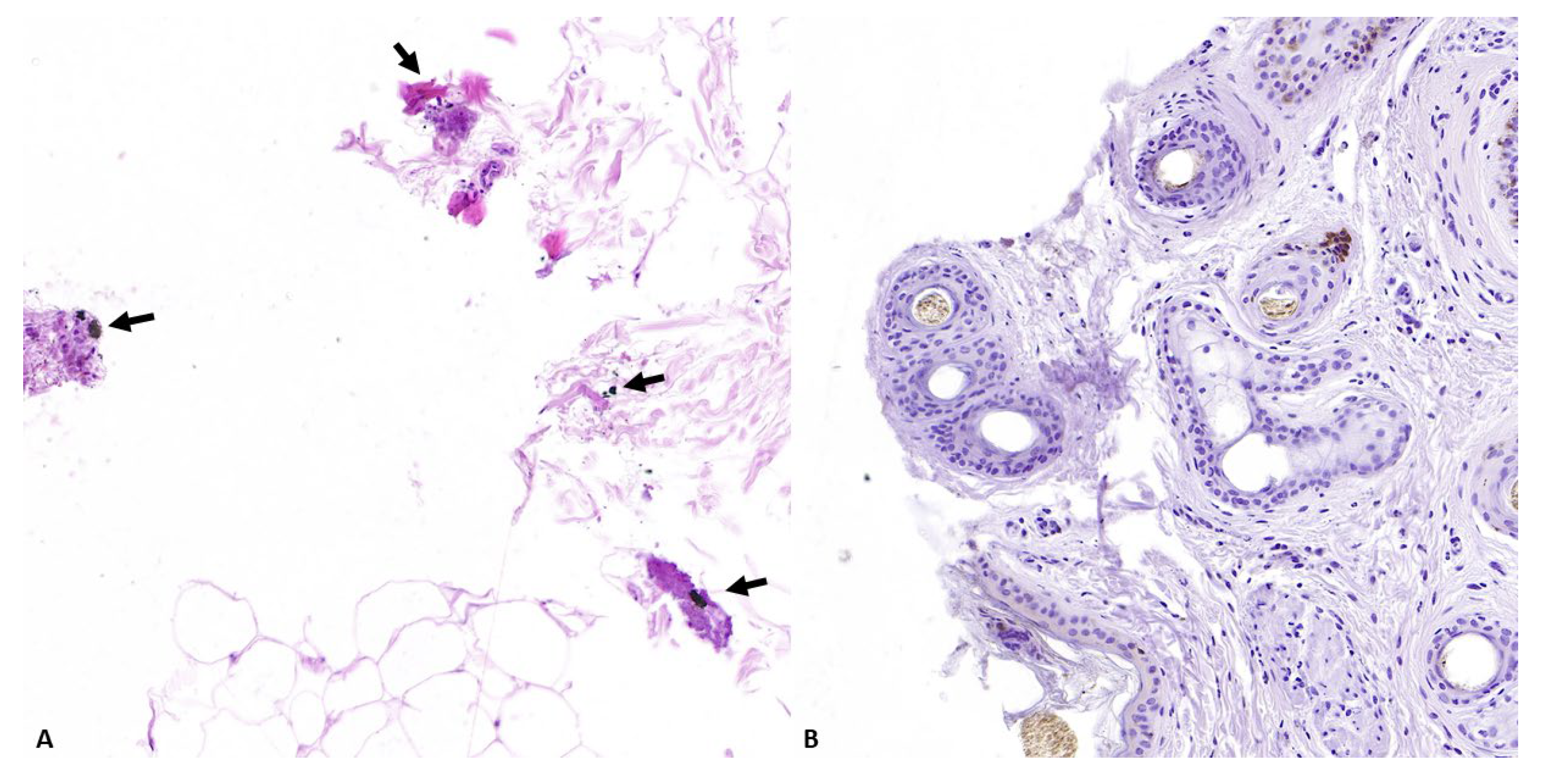 Animals 14 02913 g011