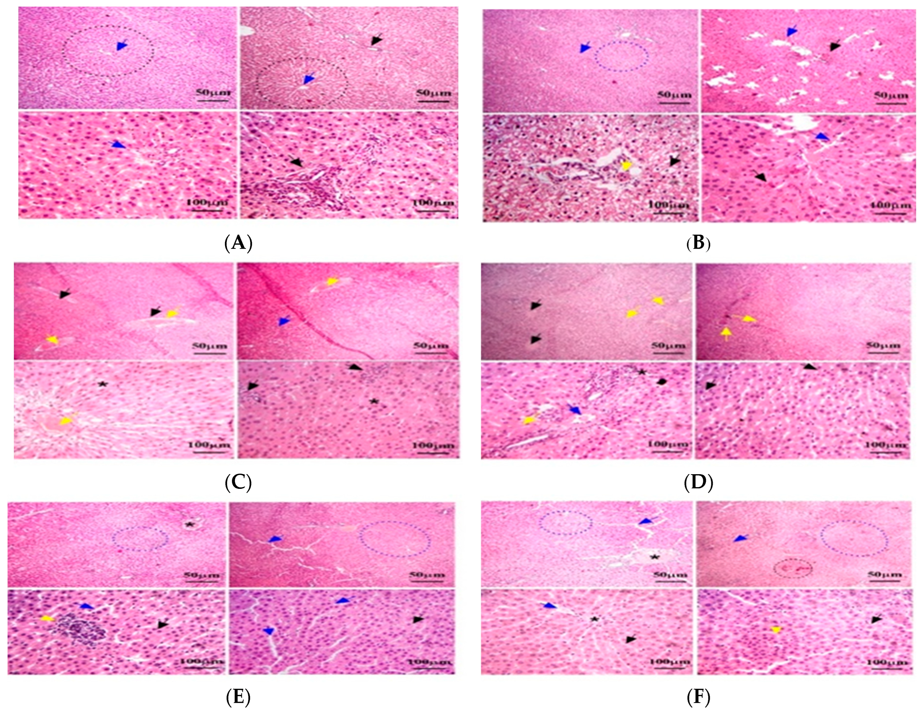 Animals 14 02914 g002 Animals 14 02914 g002