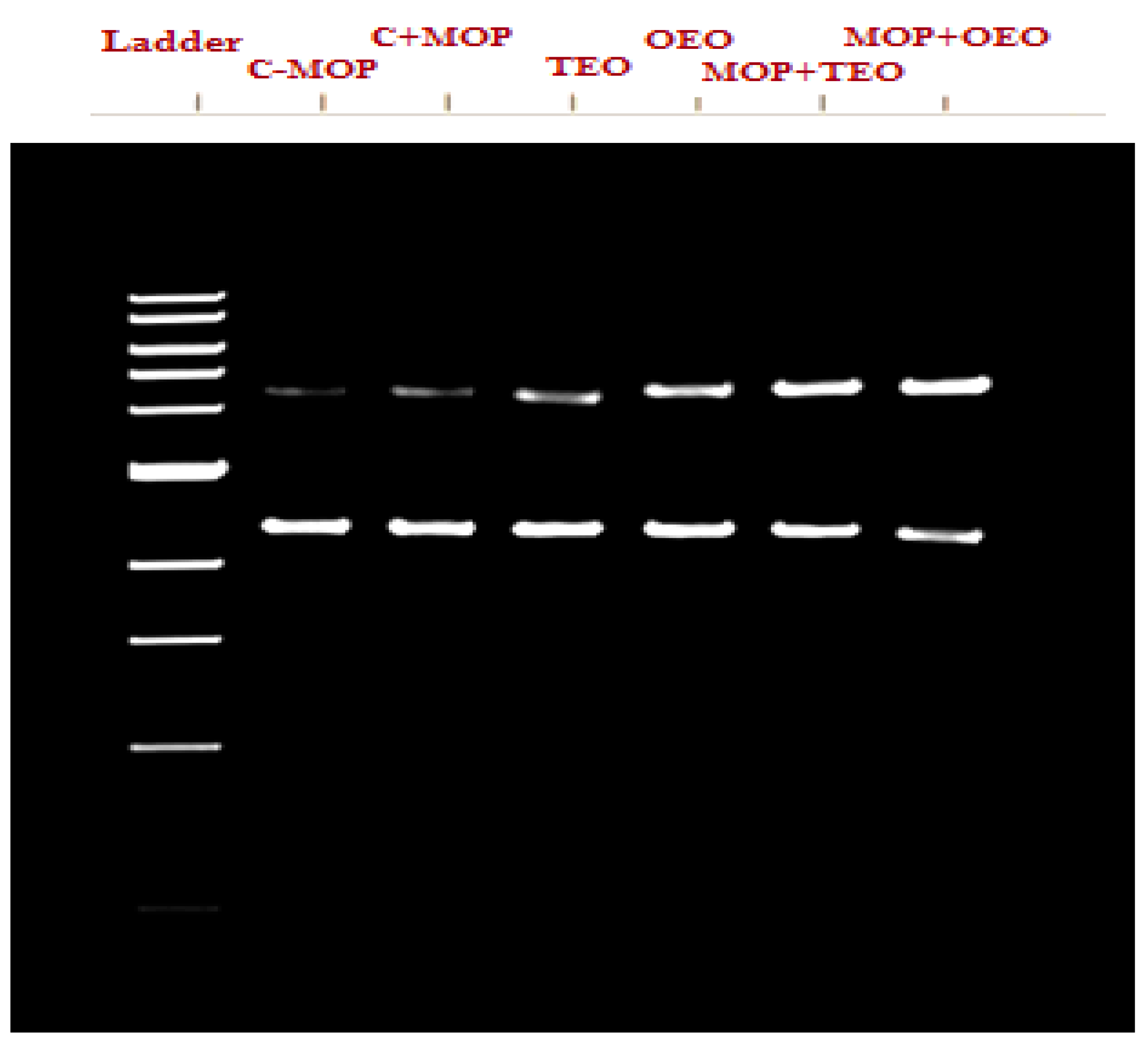 Animals 14 02914 g003 Animals 14 02914 g003