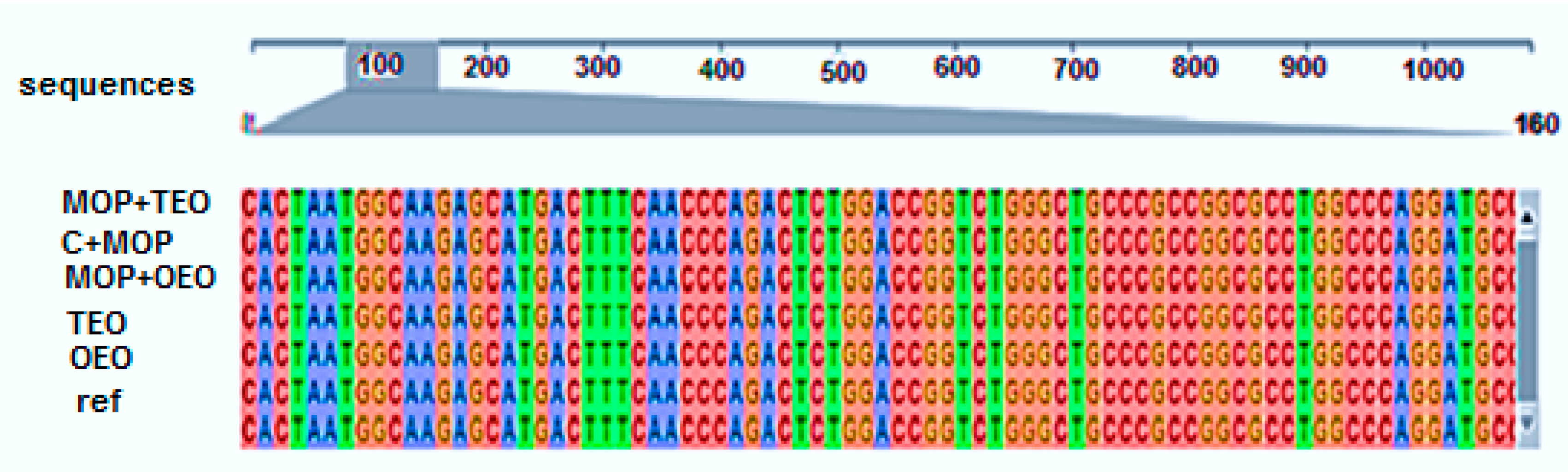 Animals 14 02914 g004 Animals 14 02914 g004