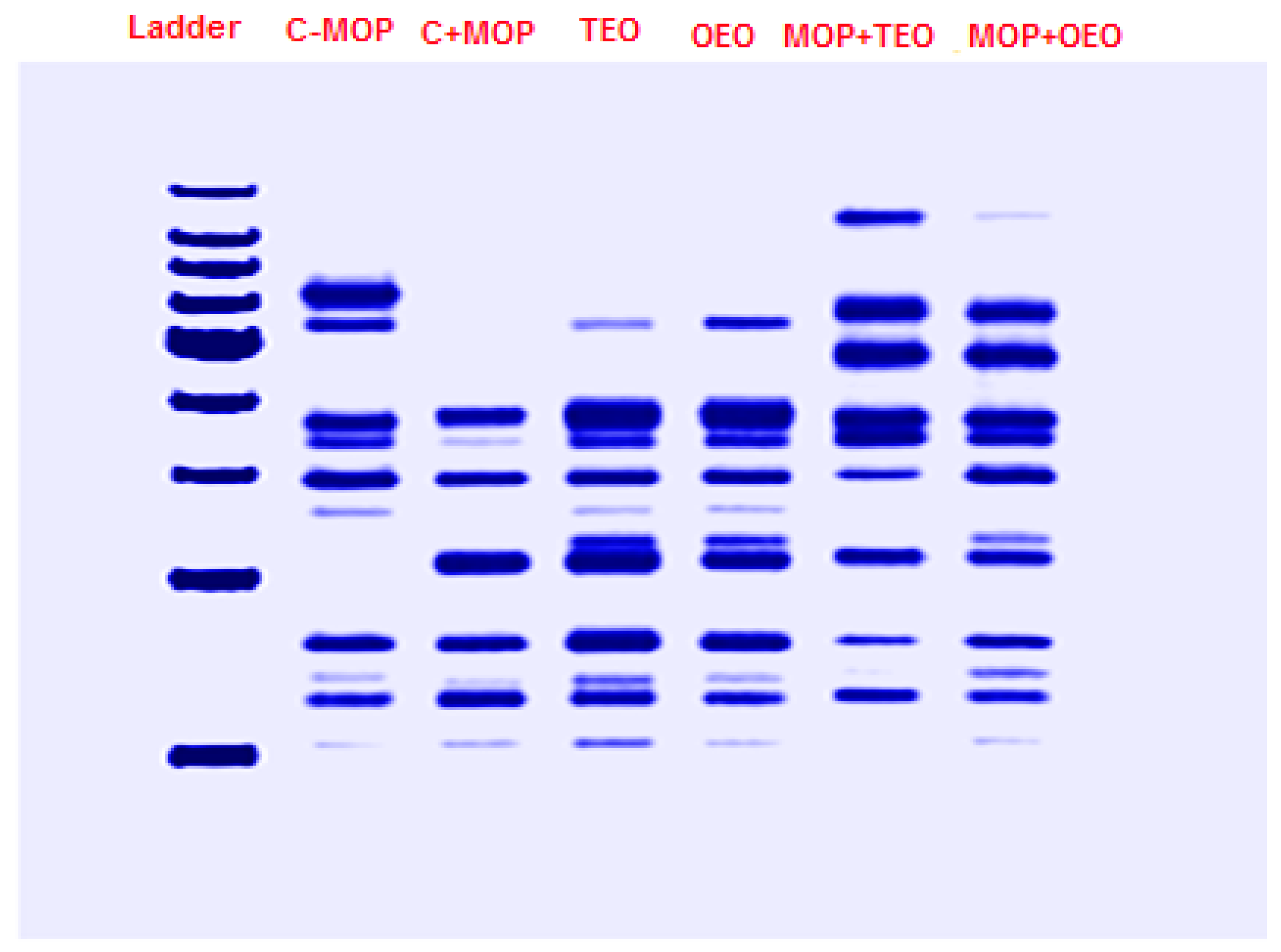 Animals 14 02914 g006 Animals 14 02914 g006