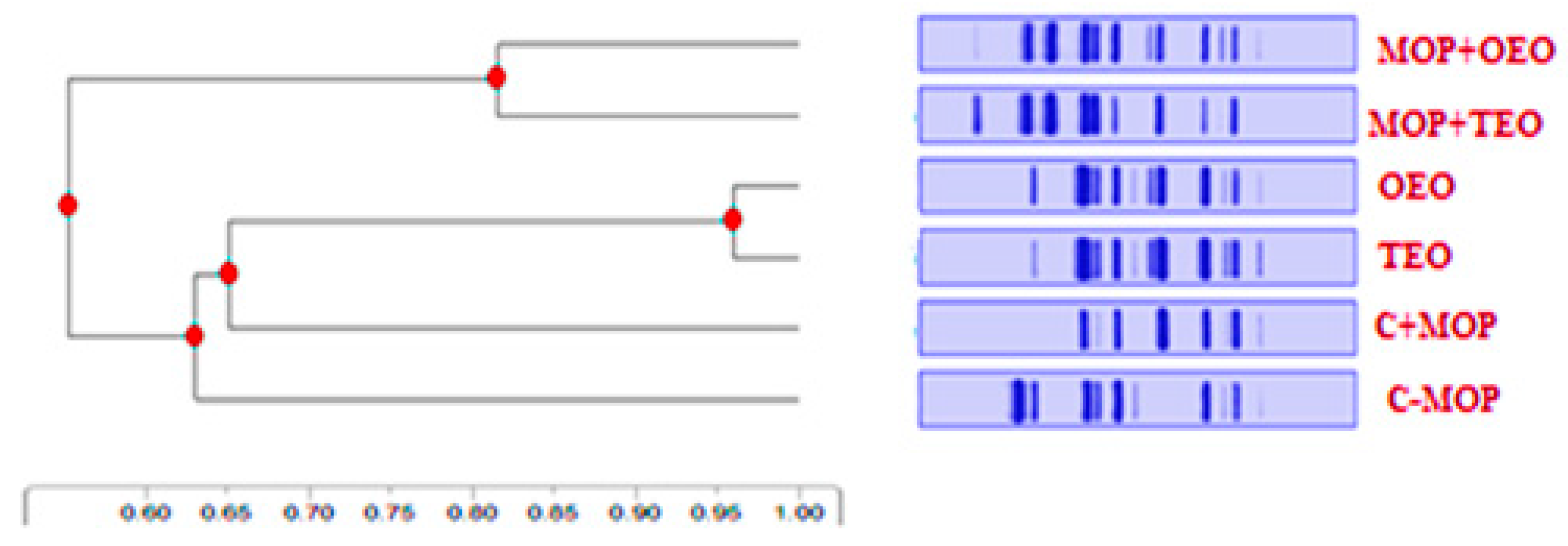 Animals 14 02914 g007 Animals 14 02914 g007