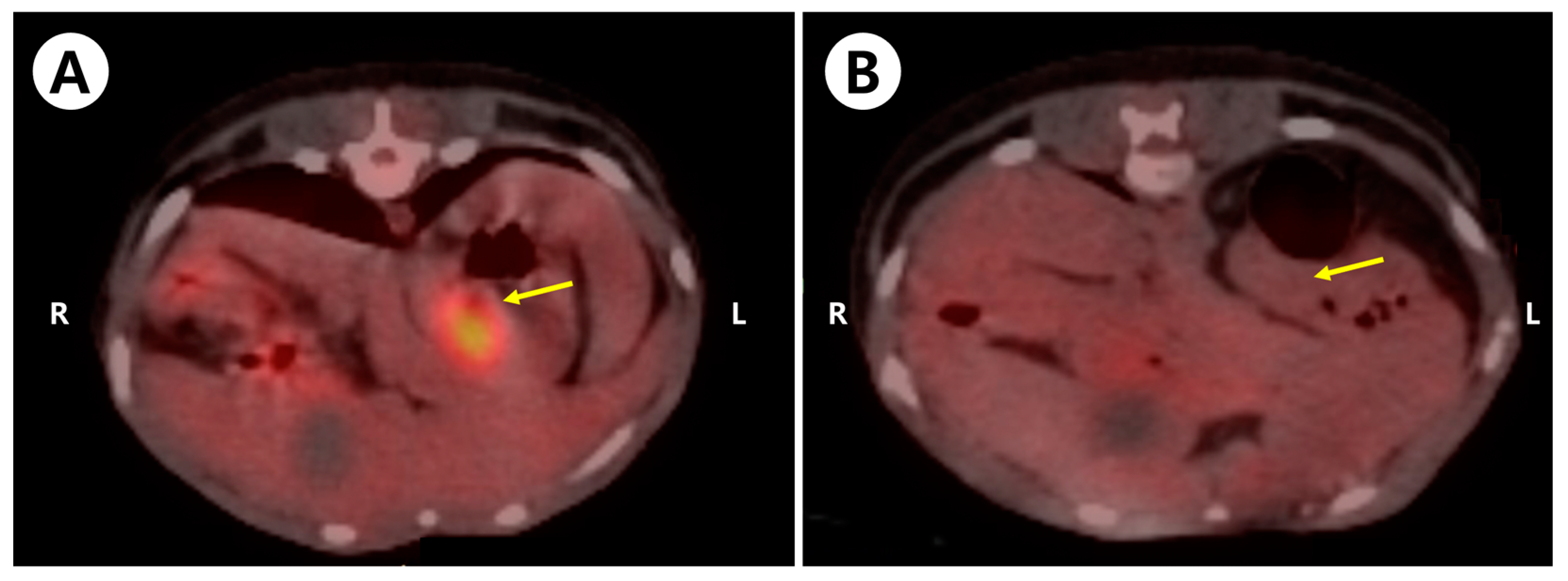 Animals 14 02917 g001